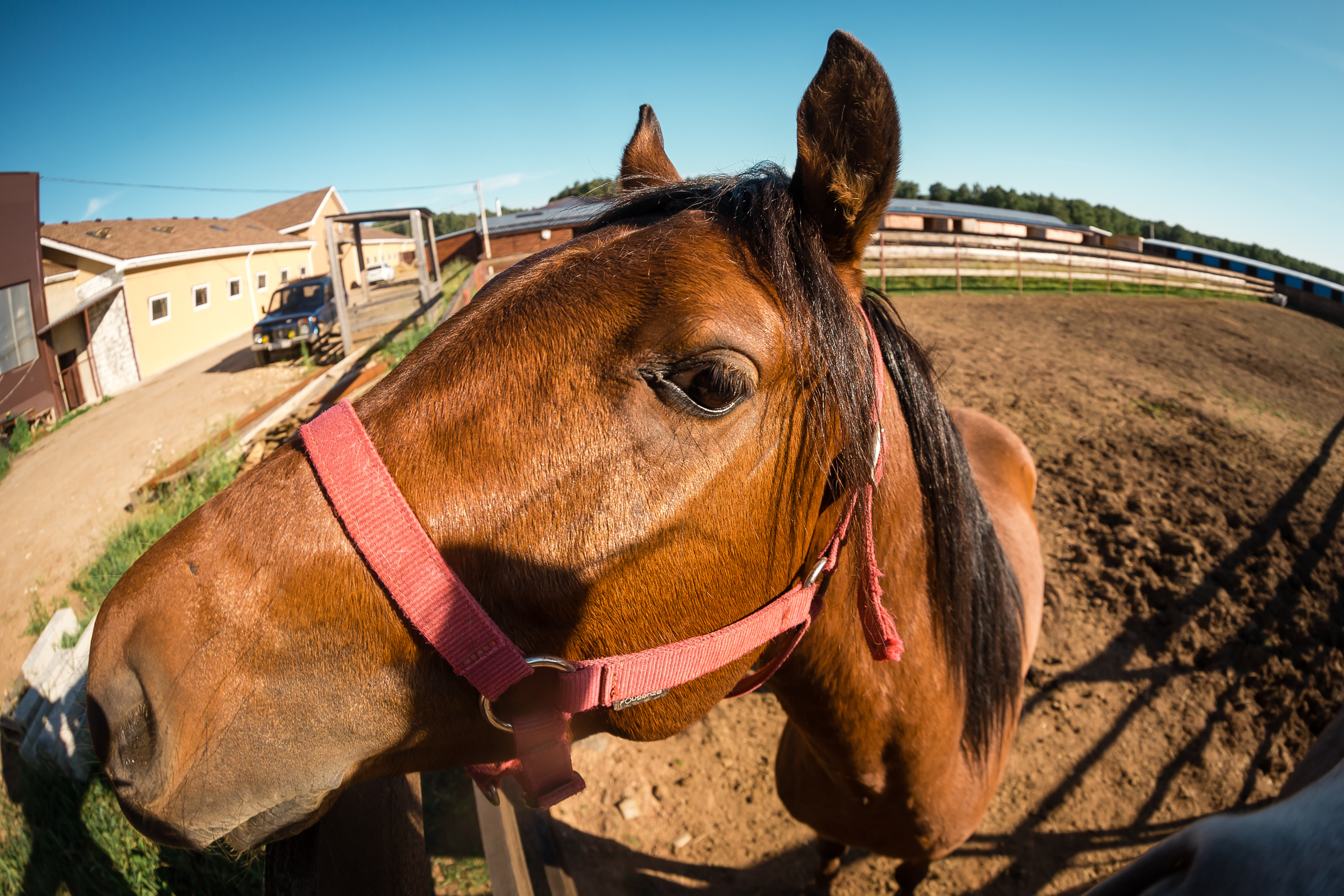Проект «Вместе с мамой» — клуб «Три грации». Фотографиня Мария Дикова
