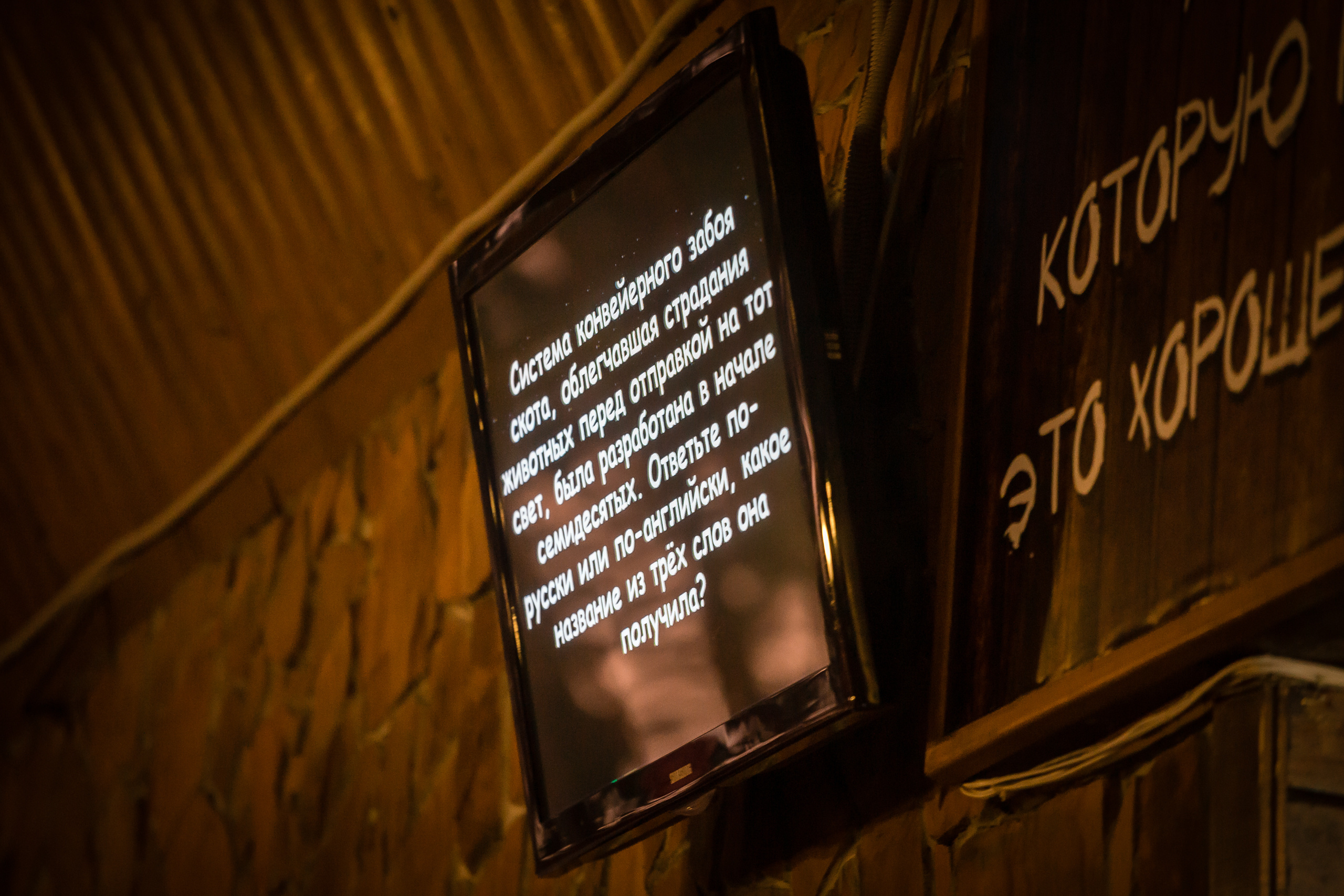 Квиз на Ранчо 636. Фотографиня Мария Дикова