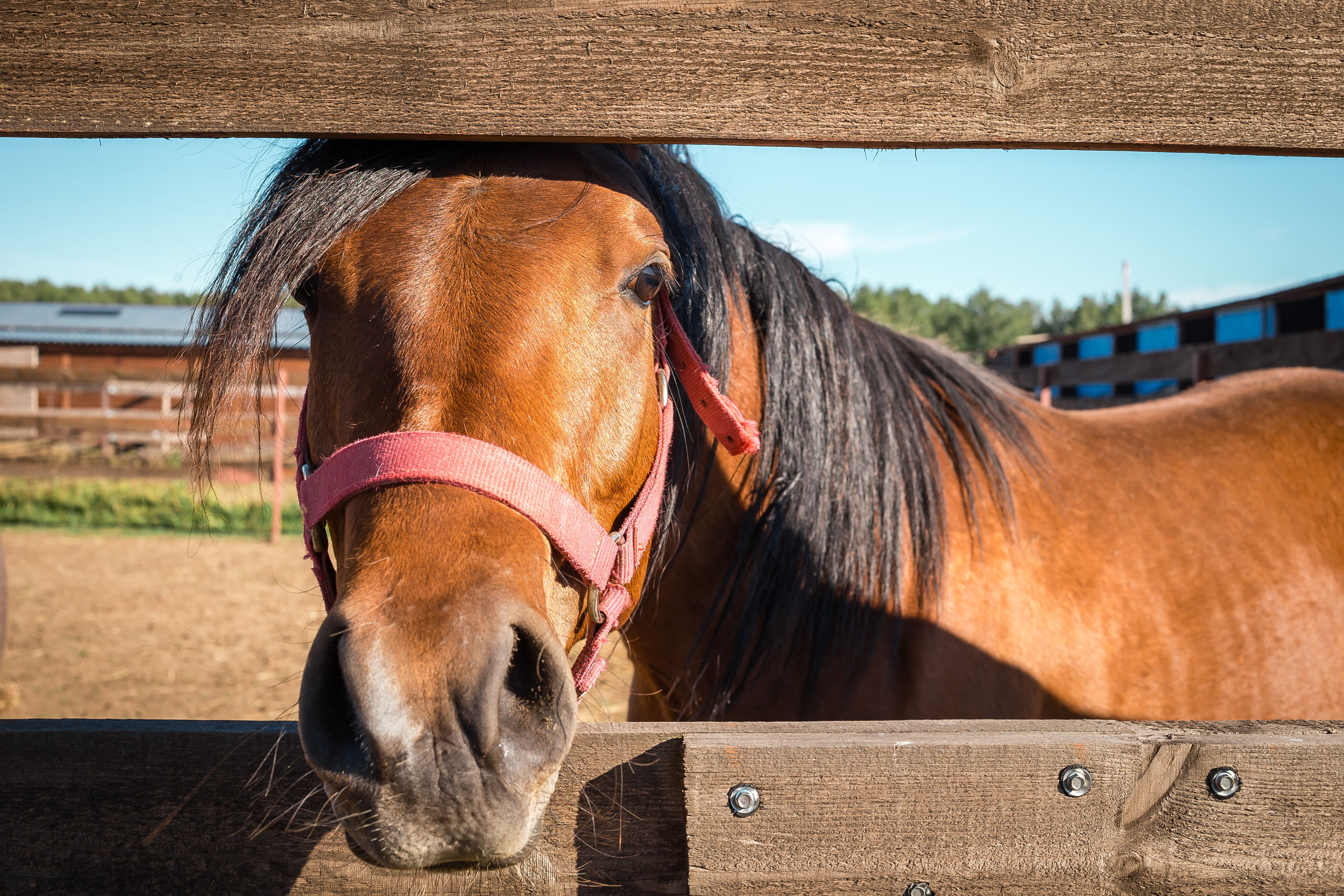 Проект «Вместе с мамой» — клуб «Три грации». Фотографиня Мария Дикова