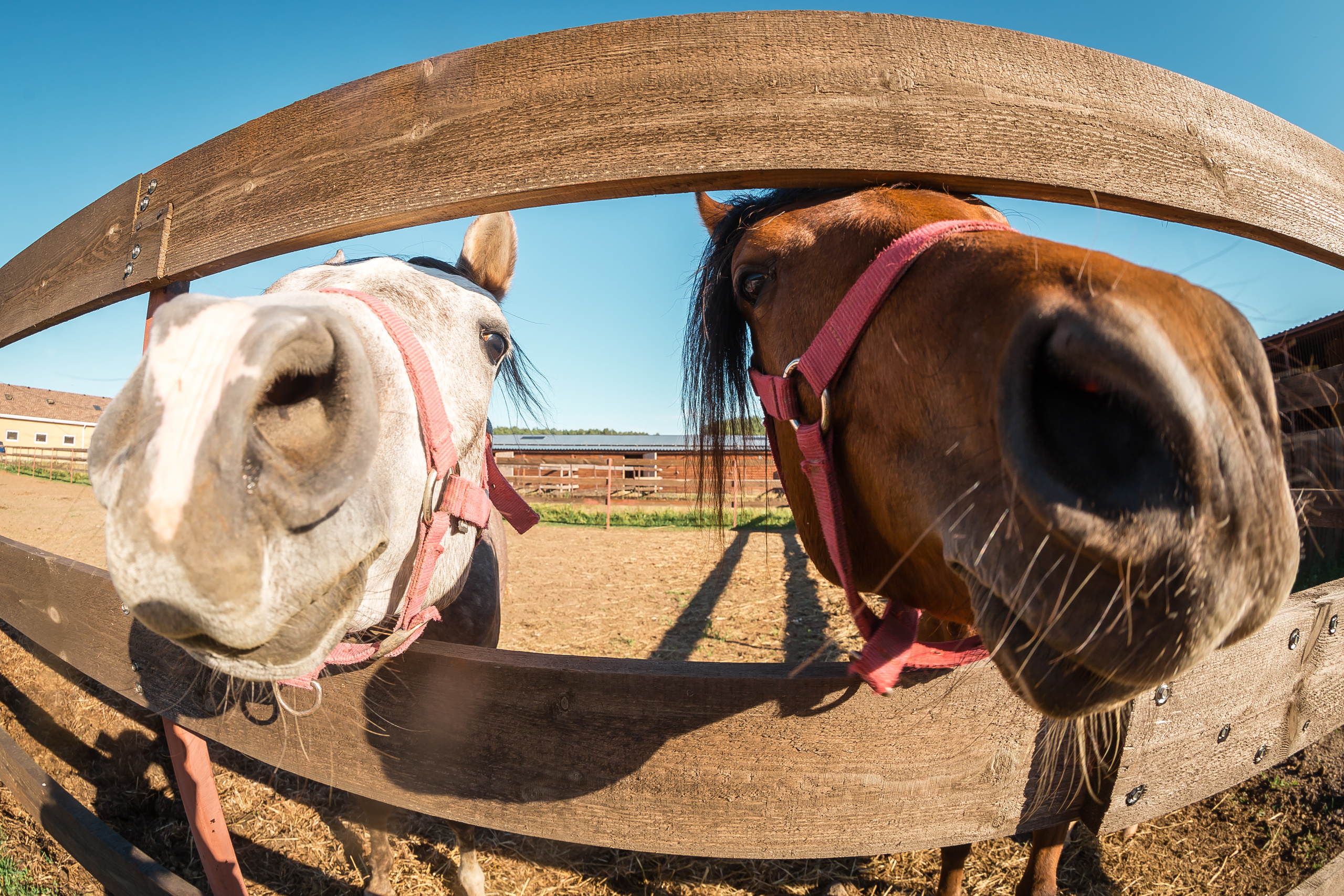 Проект «Вместе с мамой» — клуб «Три грации». Фотографиня Мария Дикова