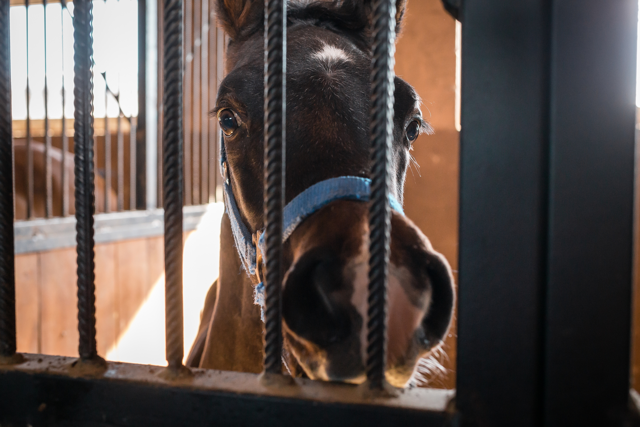 Проект «Вместе с мамой» — клуб «Три грации». Фотографиня Мария Дикова