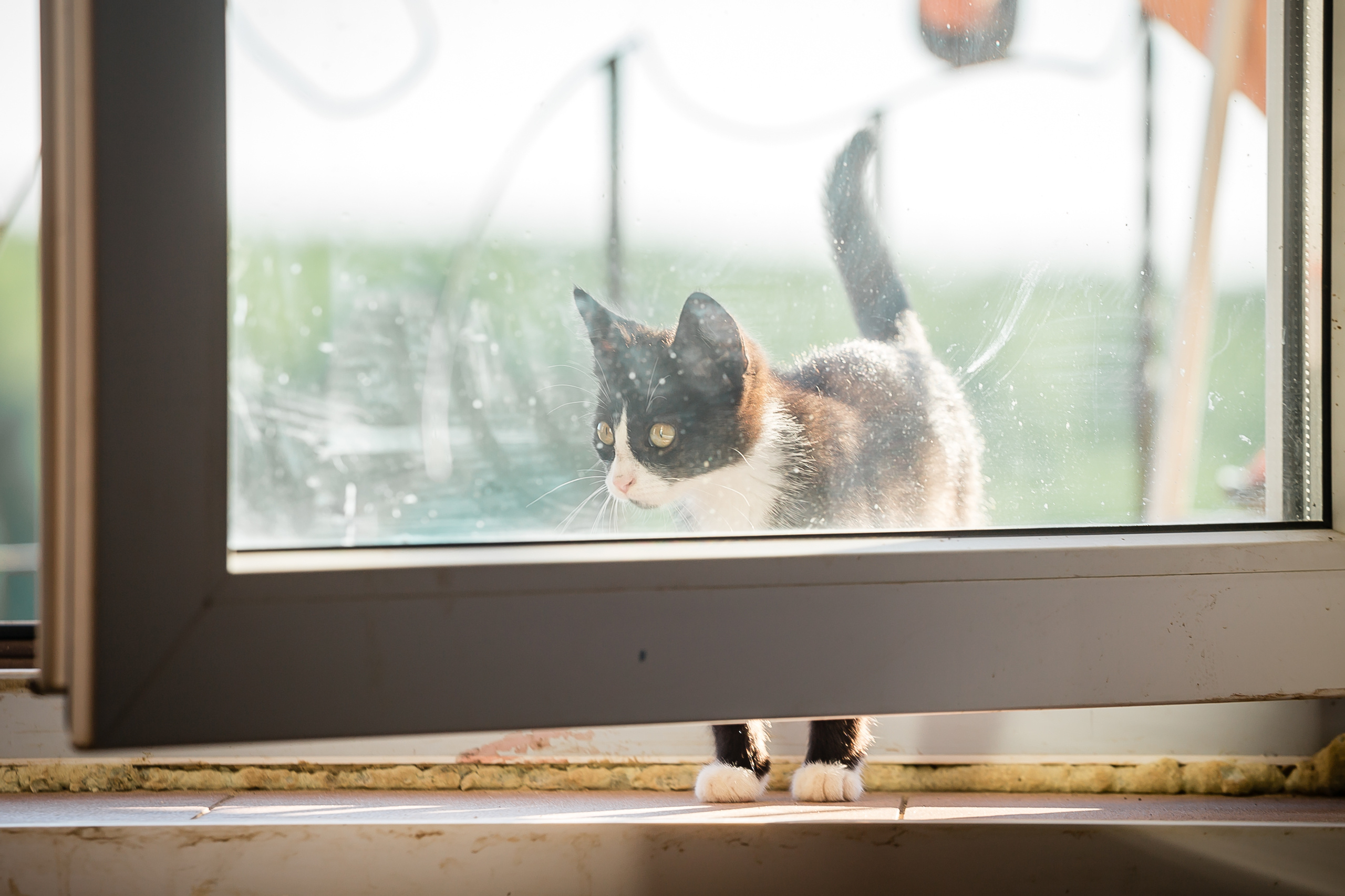 Проект «Вместе с мамой» — клуб «Три грации». Фотографиня Мария Дикова