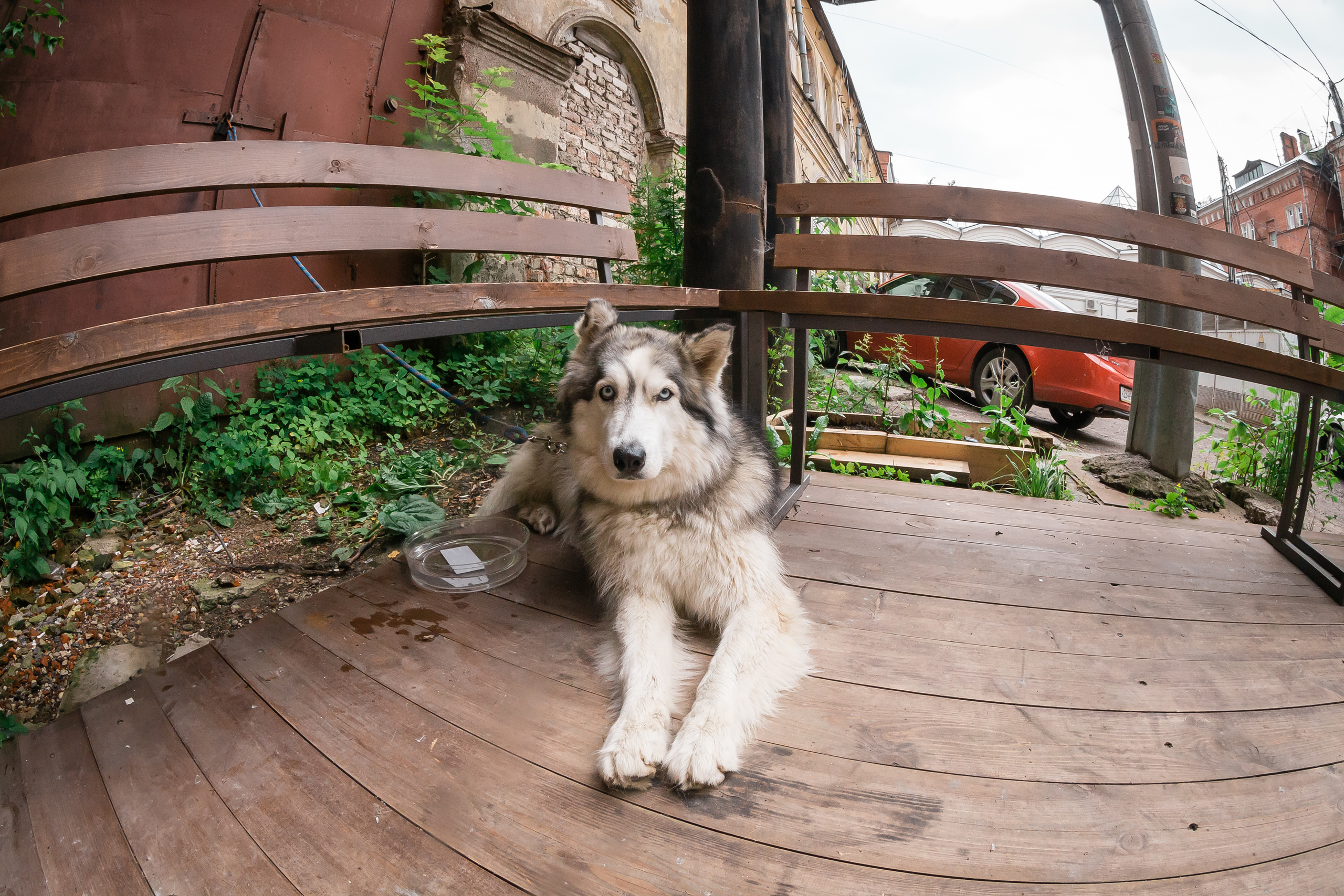 Сказочный пикник. Фотографиня Мария Дикова