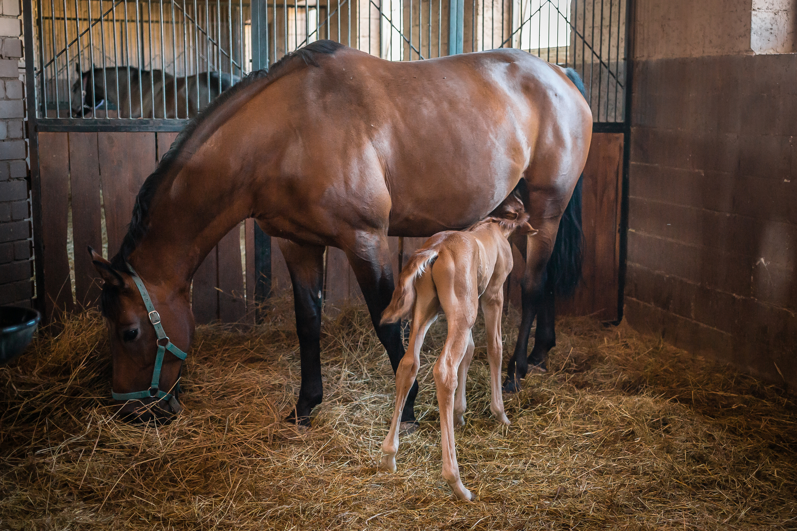 Проект «Вместе с мамой» — клуб «Три грации». Фотографиня Мария Дикова