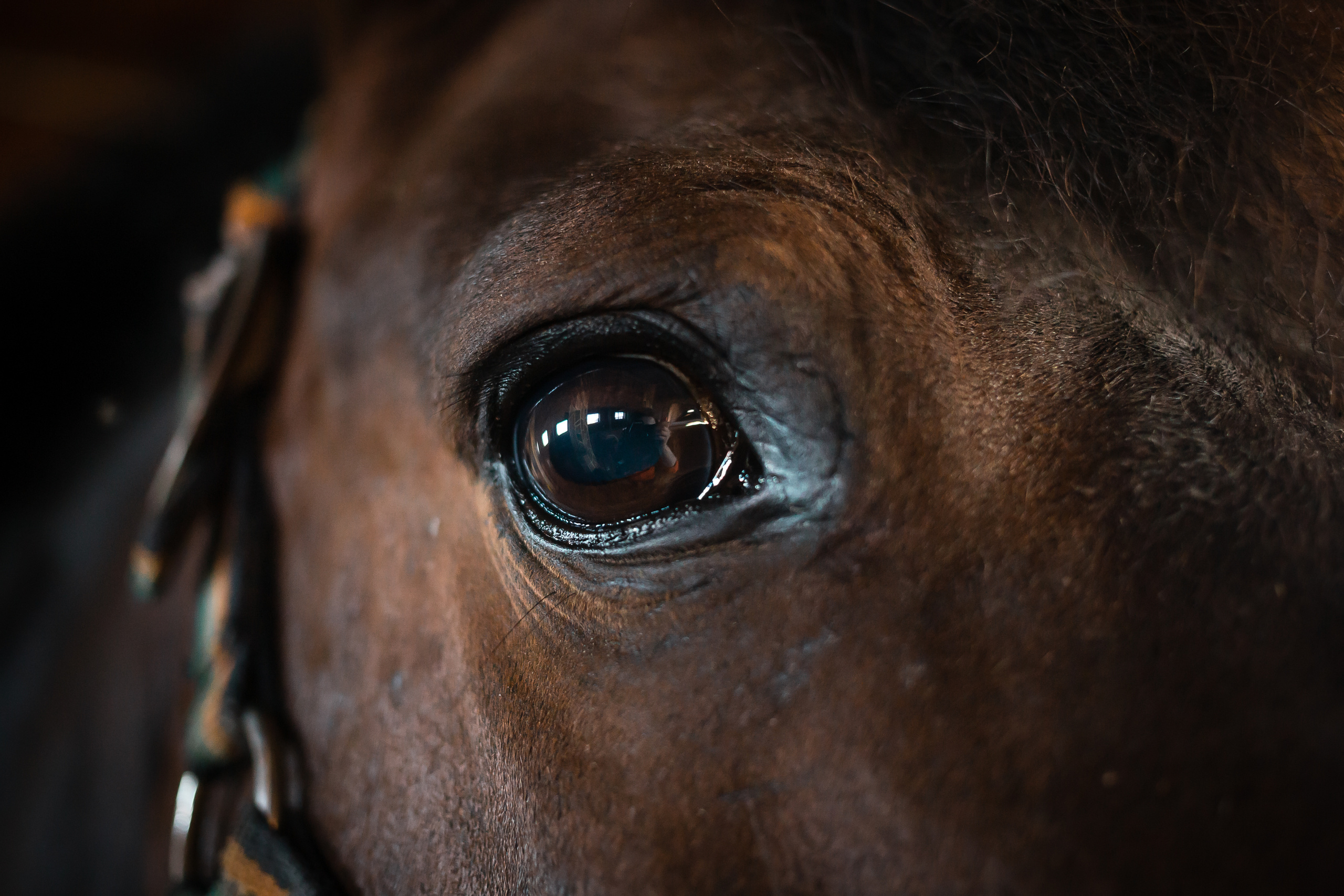 Проект «Вместе с мамой» — клуб «Три грации». Фотографиня Мария Дикова