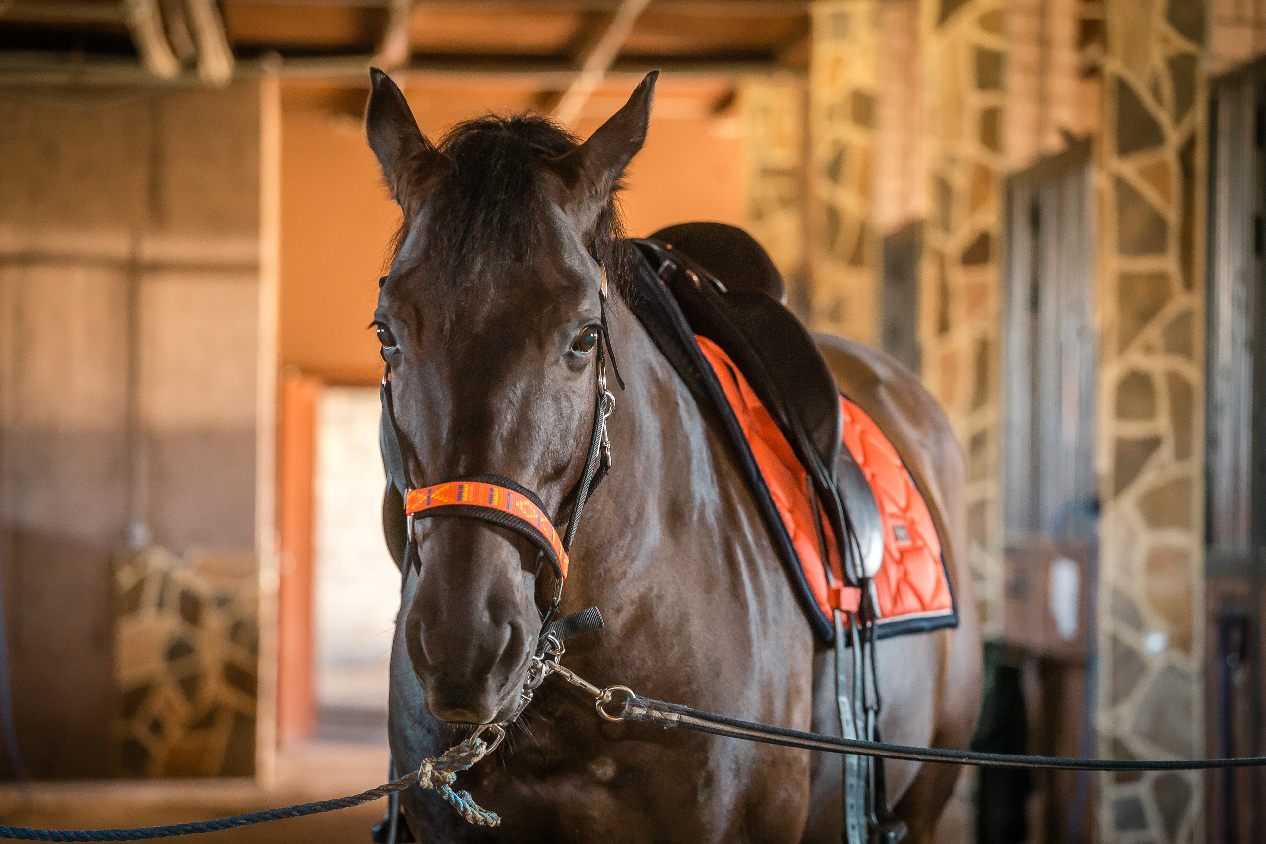 Проект «Вместе с мамой» — клуб «Три грации». Фотографиня Мария Дикова