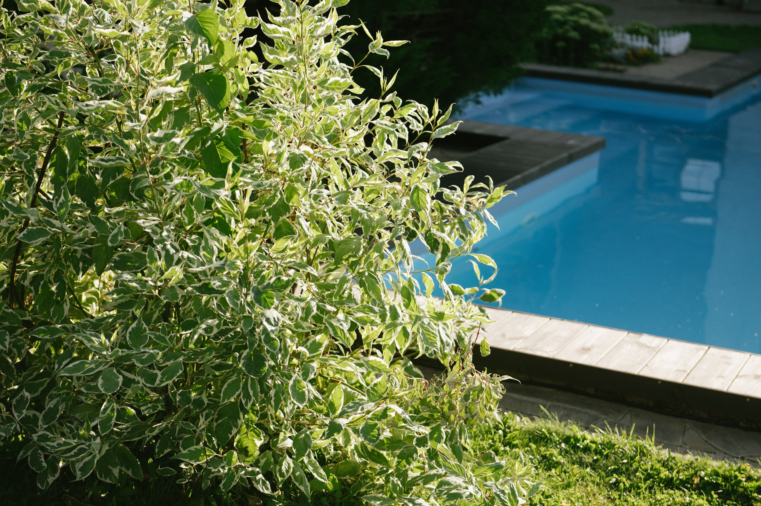 Давай проживём вместе самую потрясающую жизнь?. Светлана Варфоломеева, женский и свадебный фотограф в Саратове