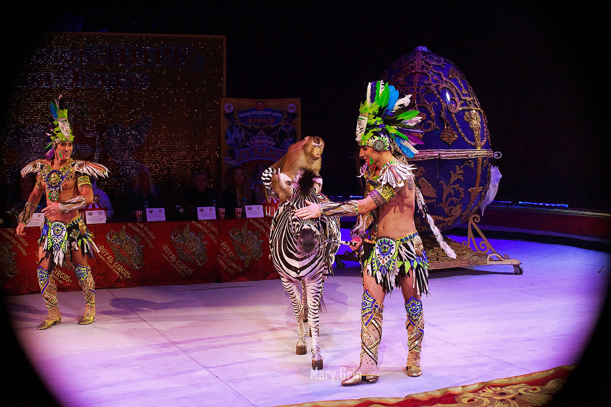 Цирк Гии Эрадзе. Детский и семейный фотограф, фотограф мероприятий Нижний Новгород