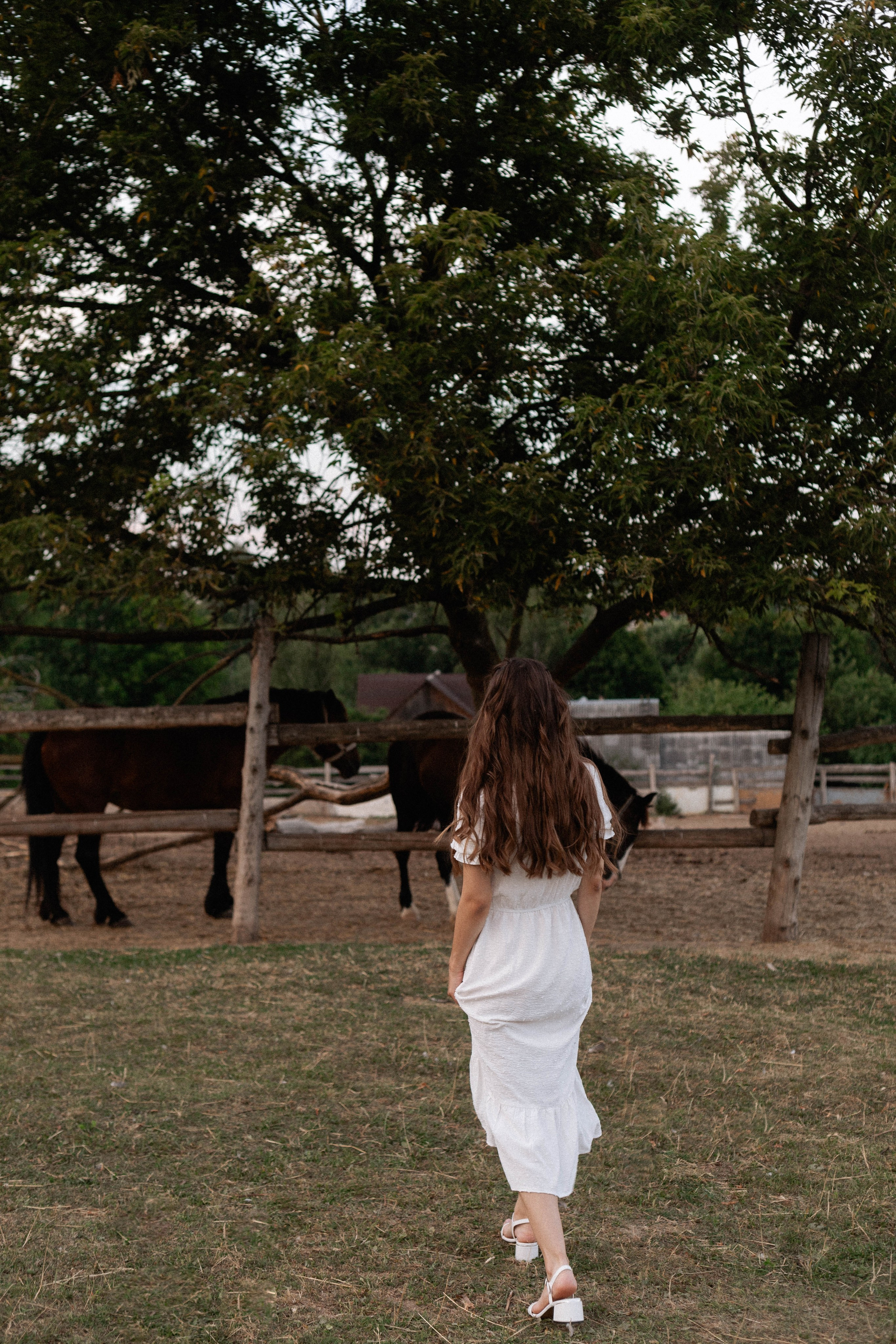 Годик Нине. Свадебный и портретный фотограф Соломко Диана