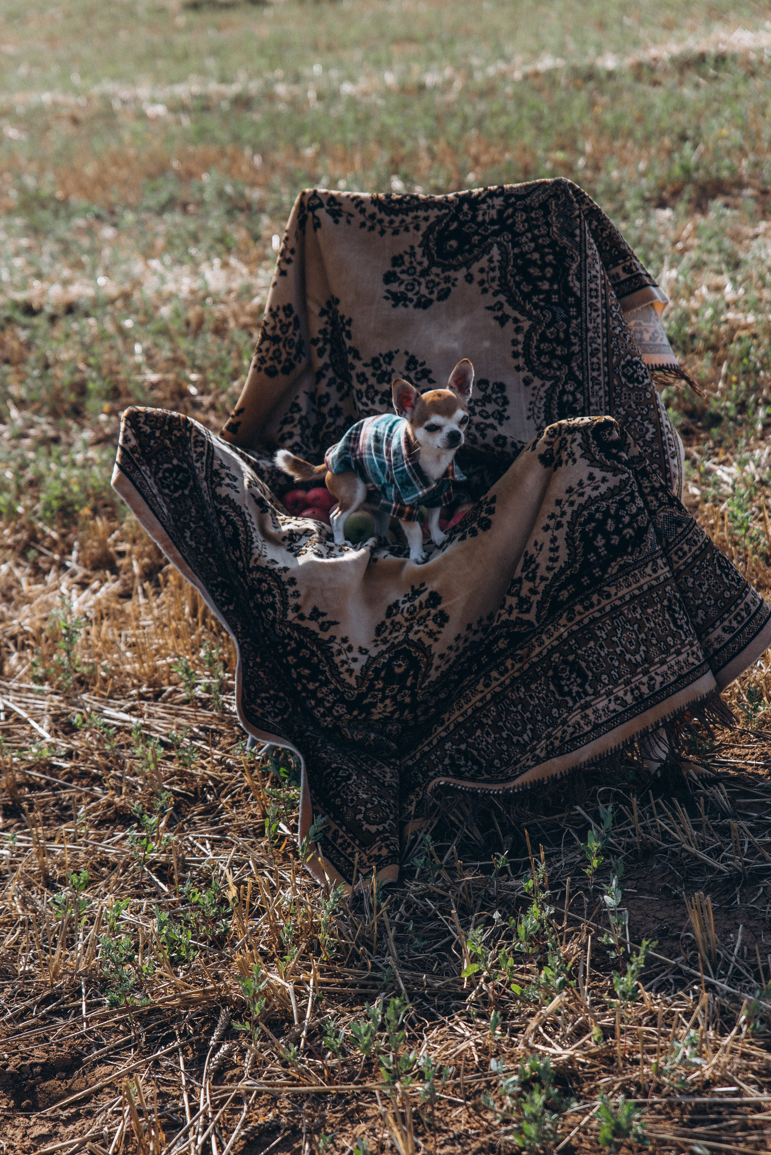 ЛЕНА. Ольга Козлова фотограф Волгоград olkiny-fotki.ru