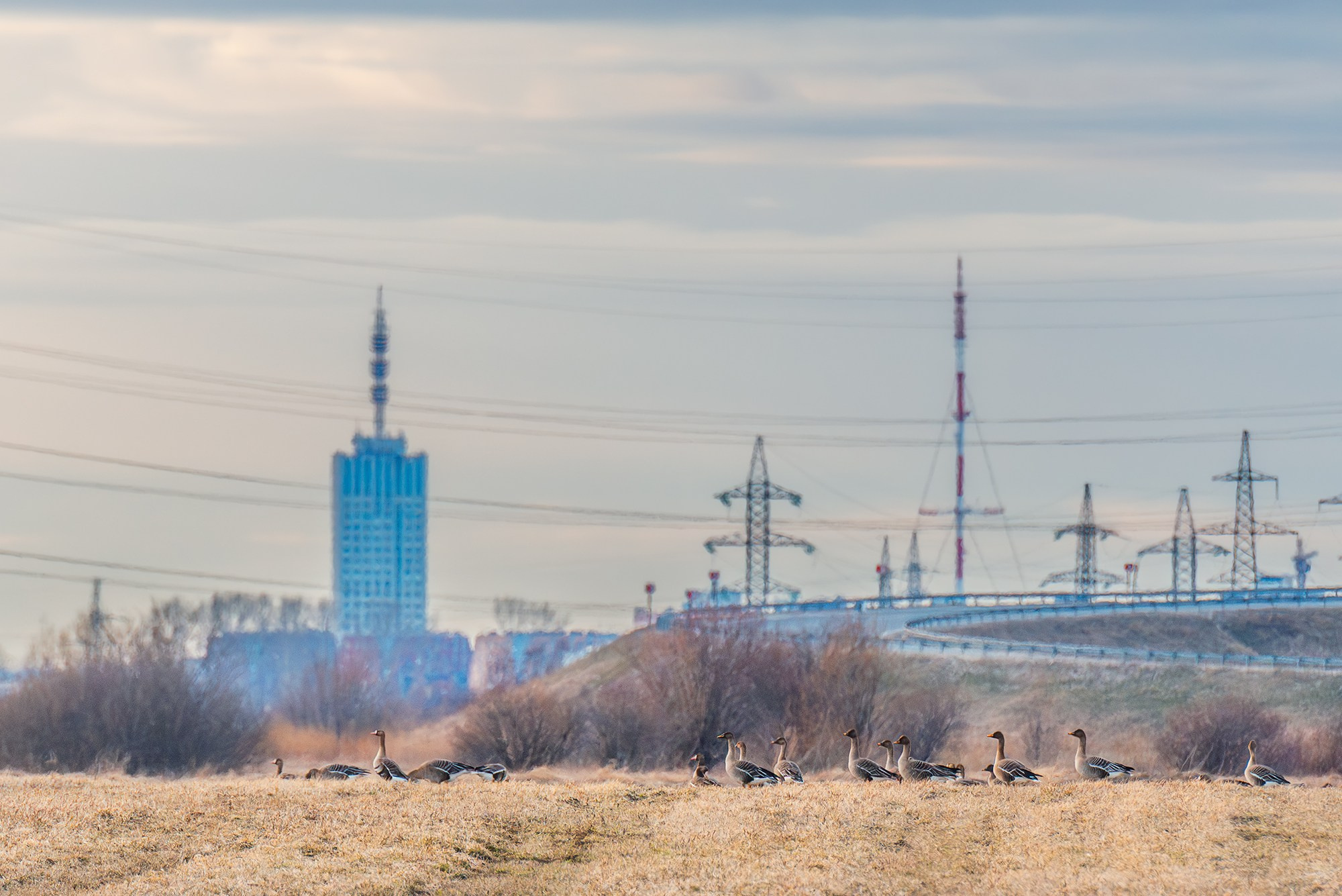 Город. Аэросъемка в Архангельске, Александр Ермолин