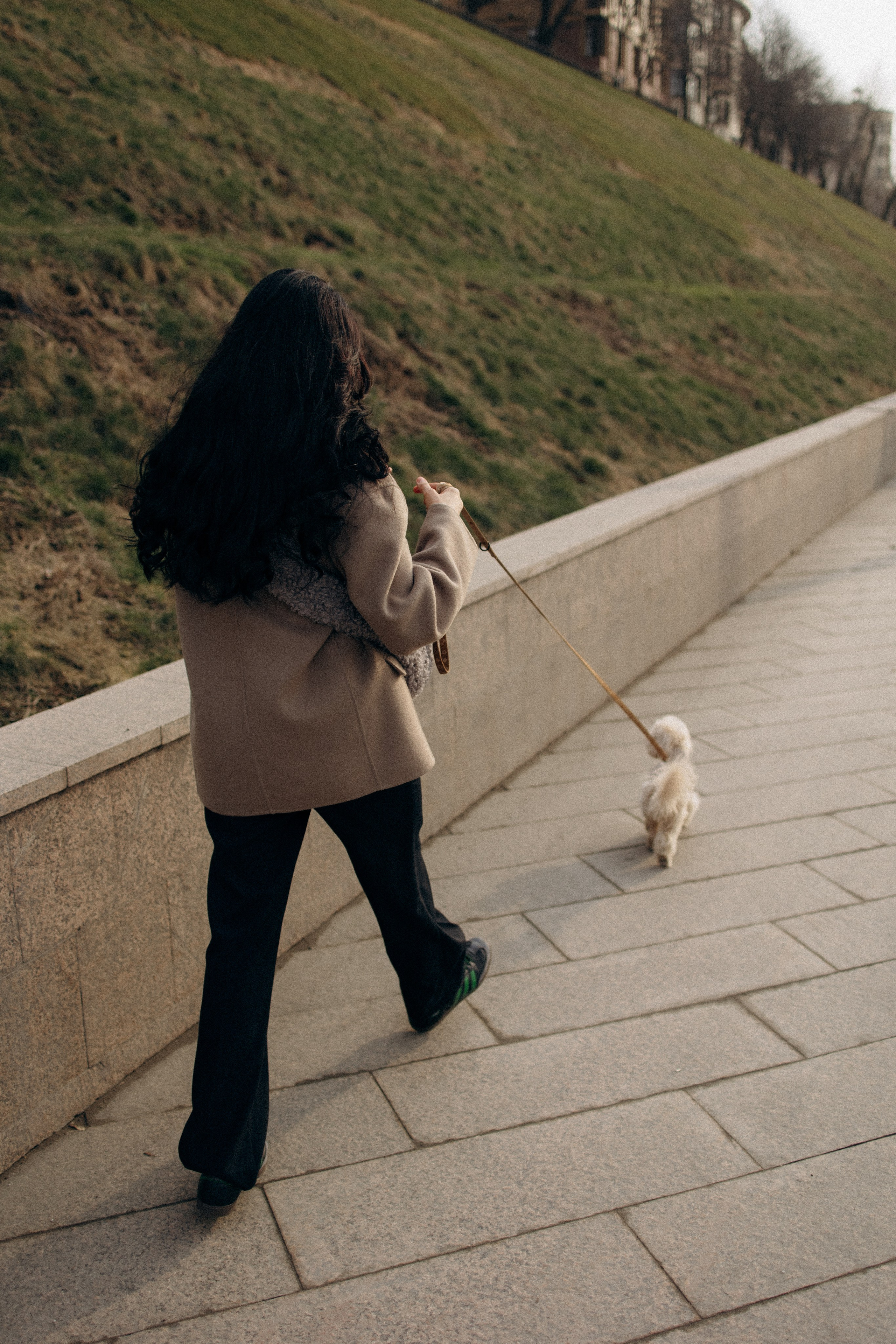 Маша, Лиза и Луна. Фотораф — анималист Мария Шистка