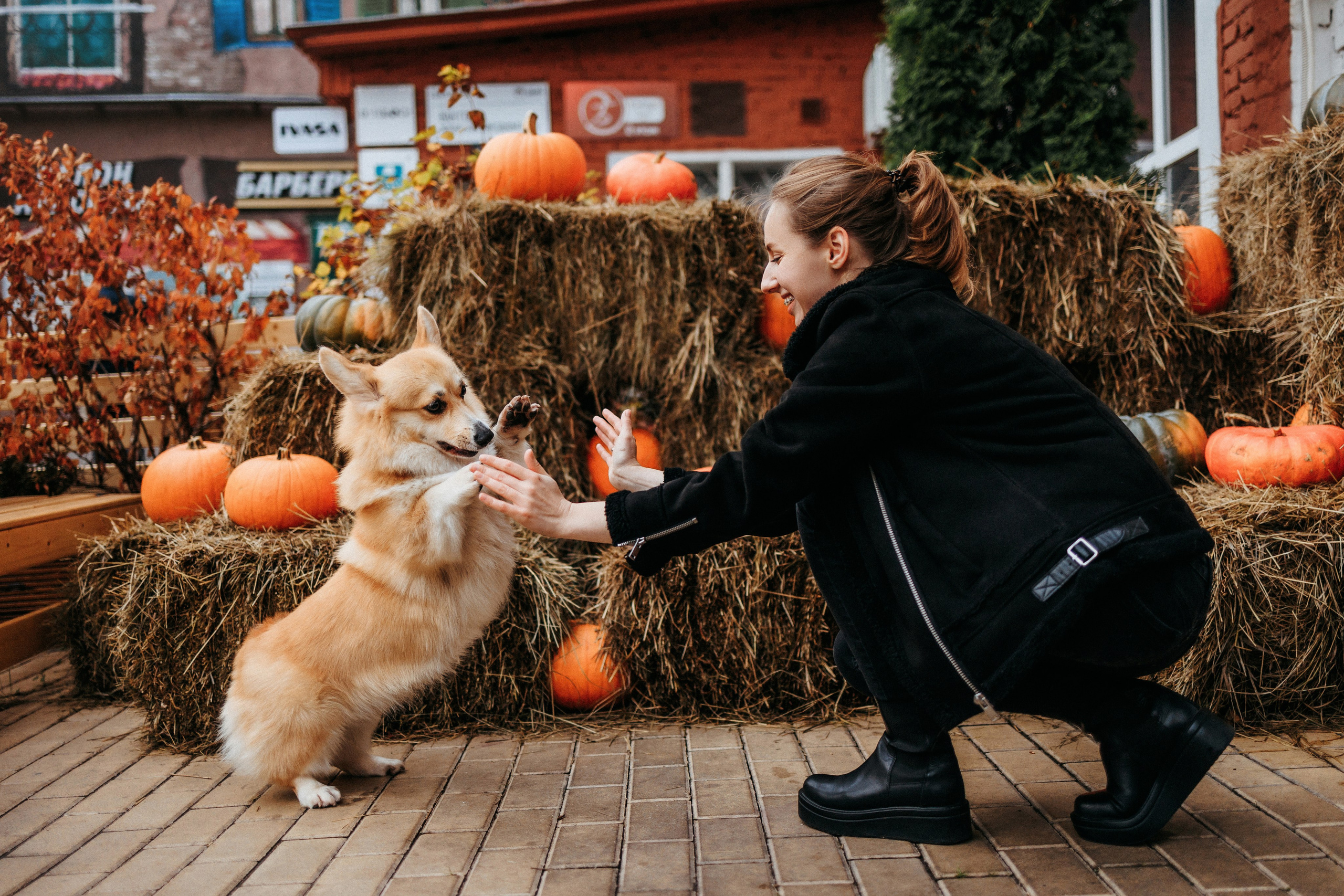 Вера, Саша и Муна. Фотограф-анималист Елена Радченко, Москва