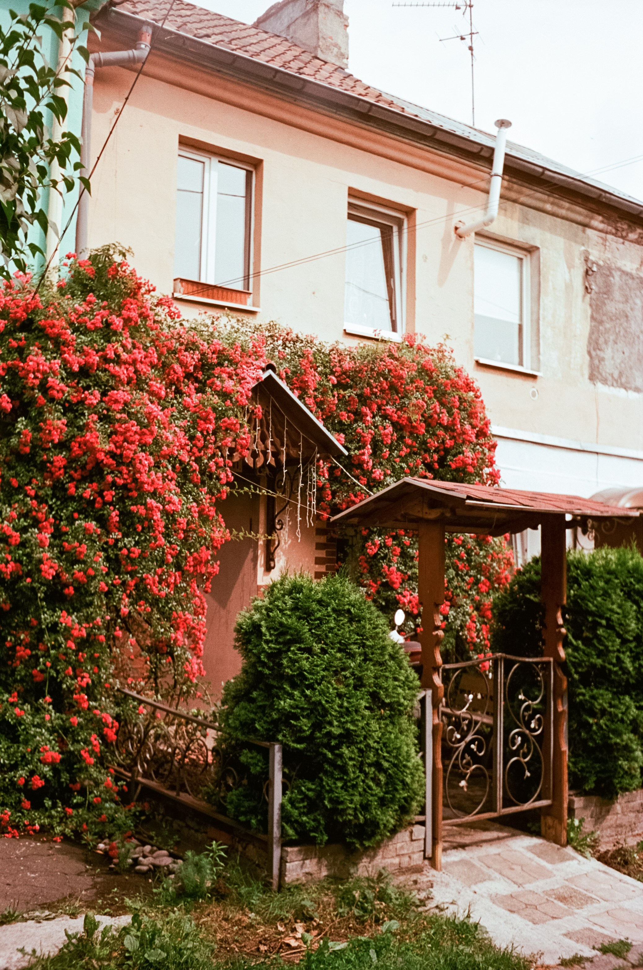 Калининград в солнечный день 7 июля 2024 года / Aerocolor IV / Minox 35GT (2)