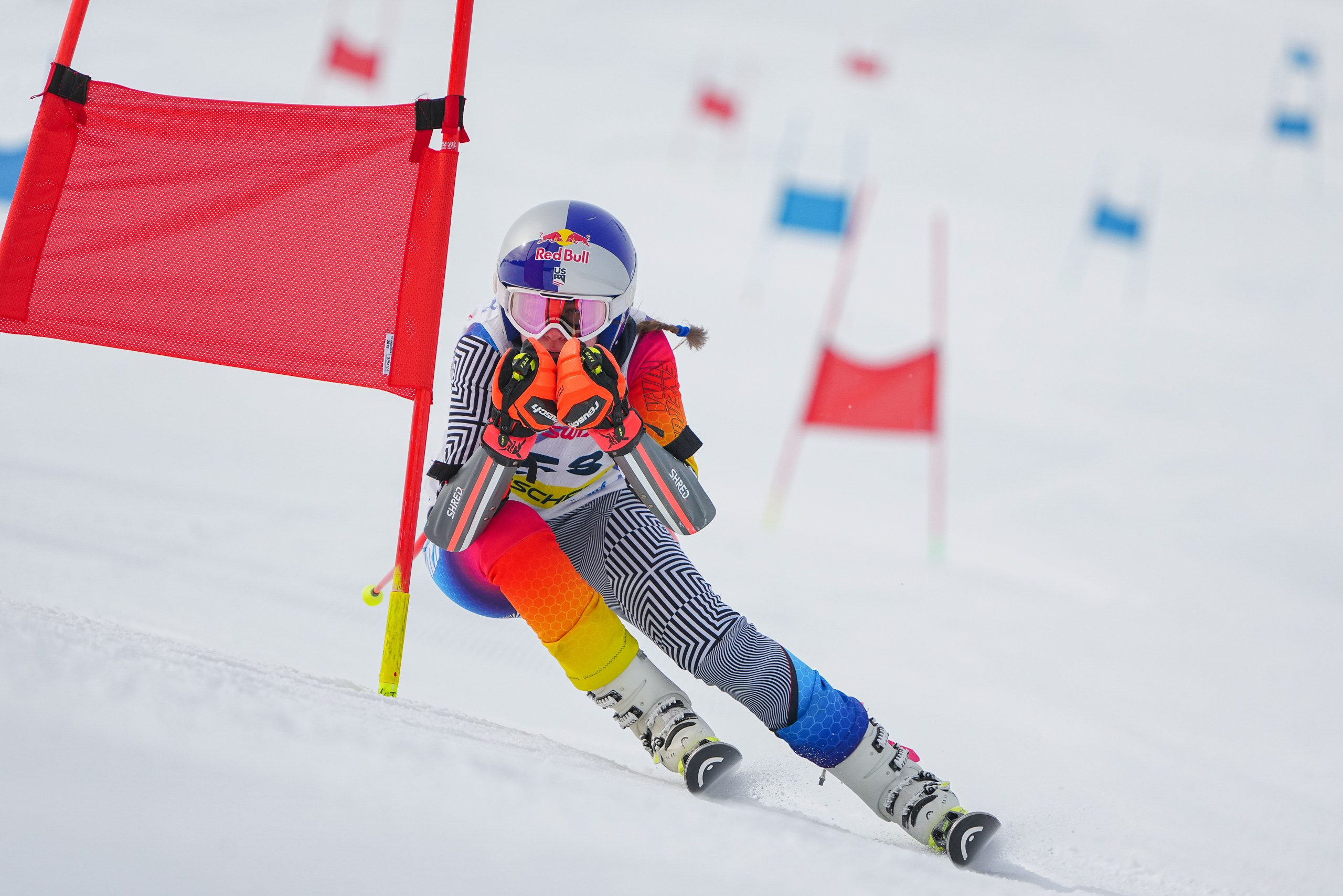 GS (Giant Slalom) - Слалом-гигант. Соревнования по горнолыжному спорту. Московская область, Шуколово