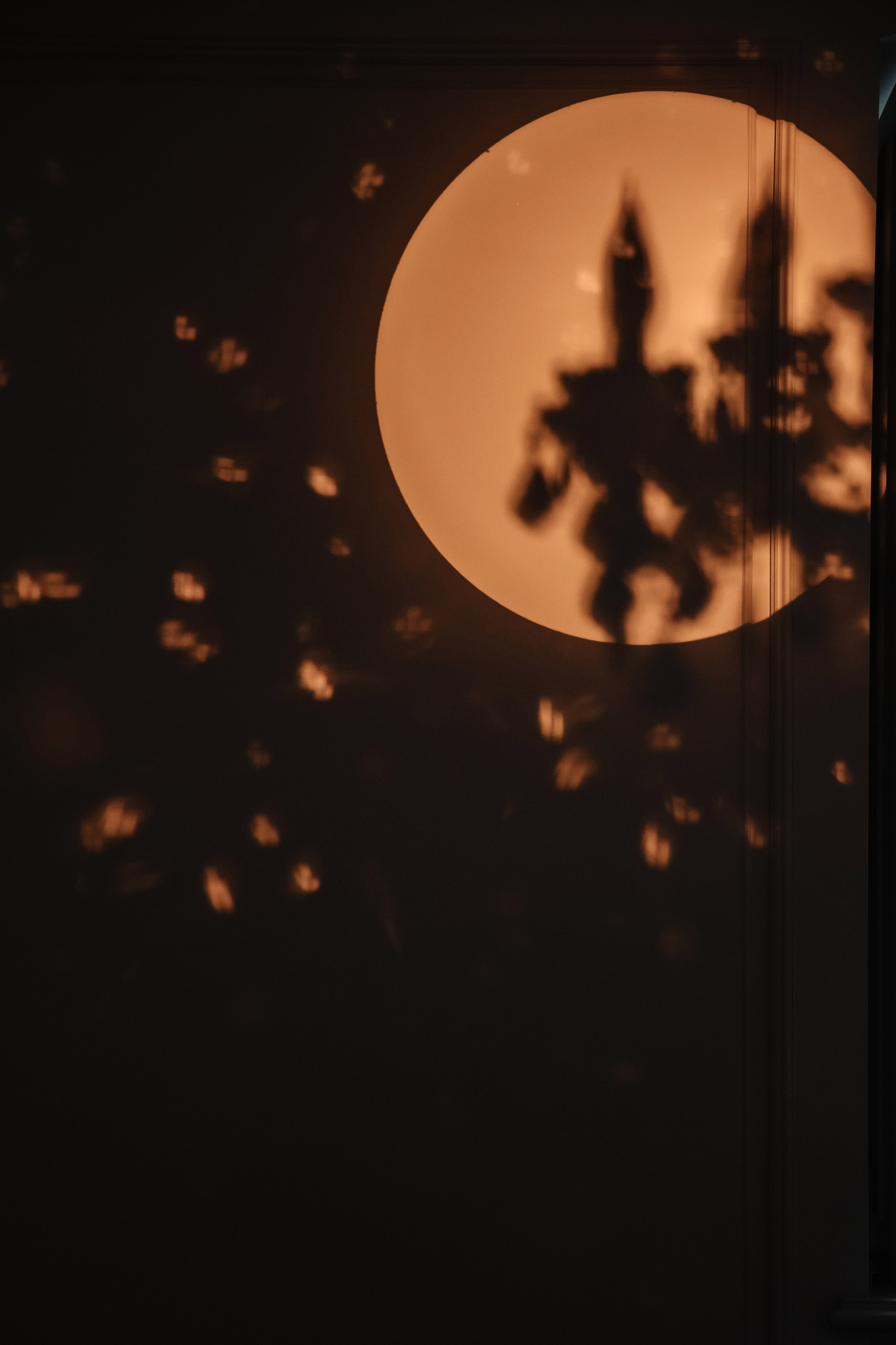 Никита и Евгения. Свадебный фотограф в Москве Михайлина Настя