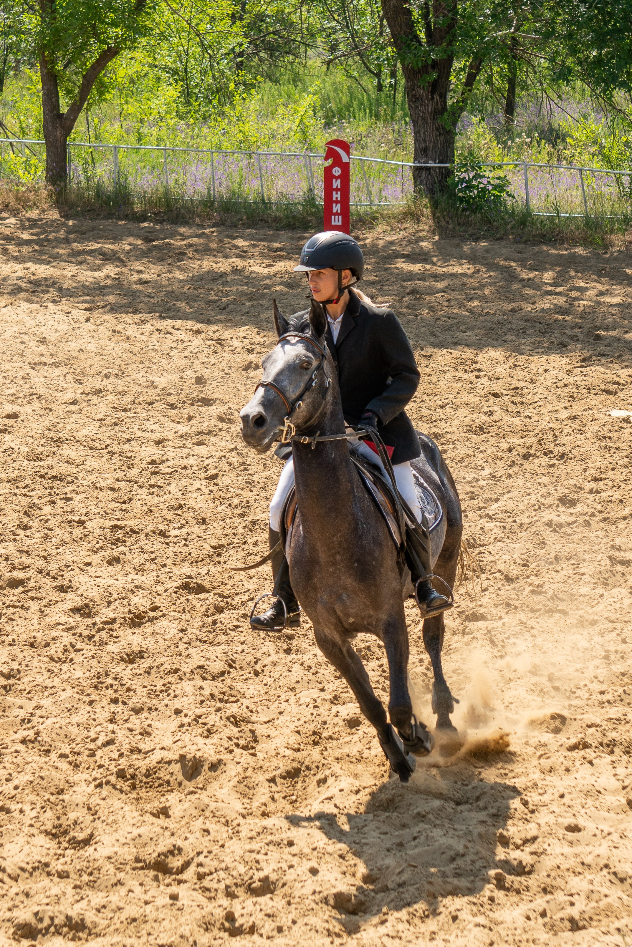 Соревнования по конкуру, Луганск. Фотограф в РФ и ЛНР Юлия Федосеева