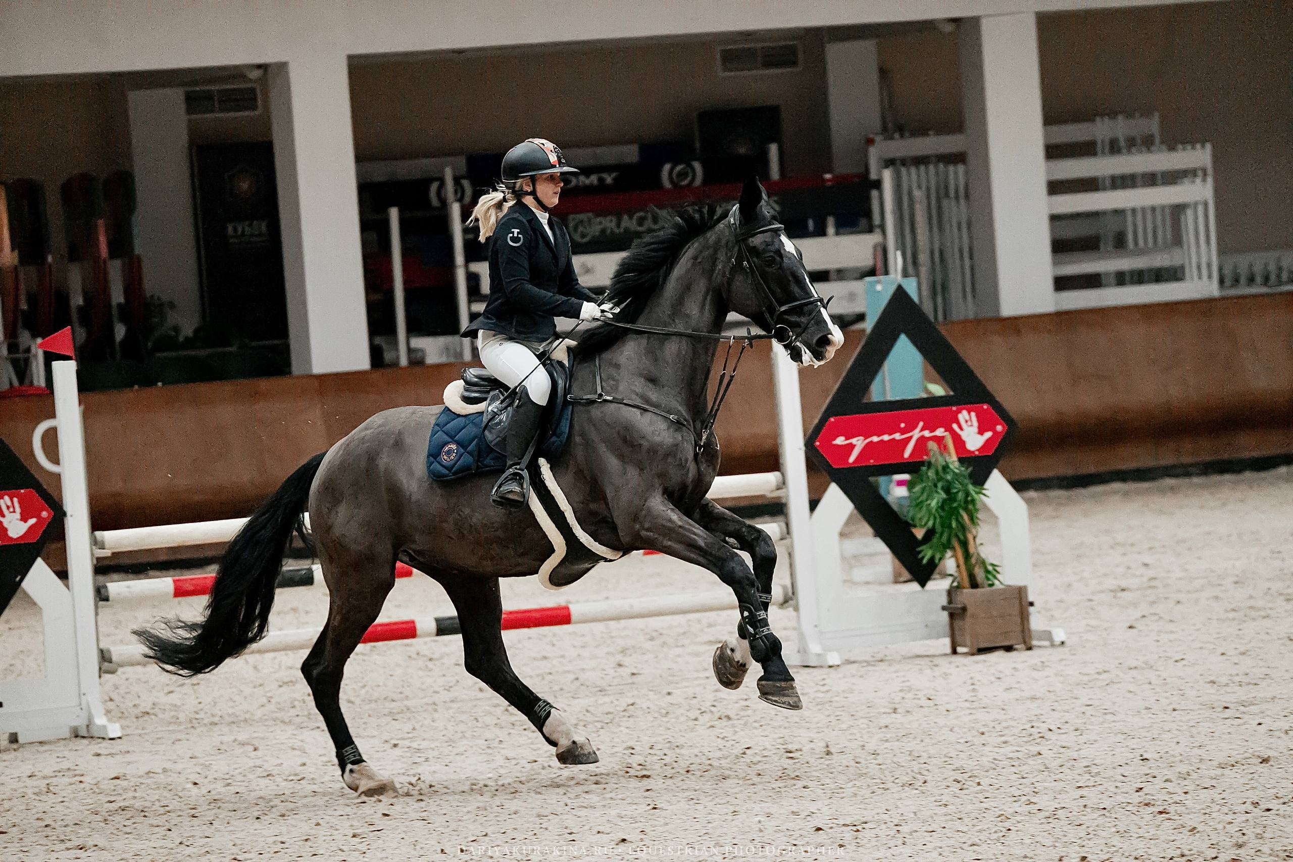 ЗИМНИЙ КУБОК ФЕДЕРАЦИИ КОННОГО СПОРТА ГОРОДА МОСКВЫ. Куракина Дарья • Конный фотограф