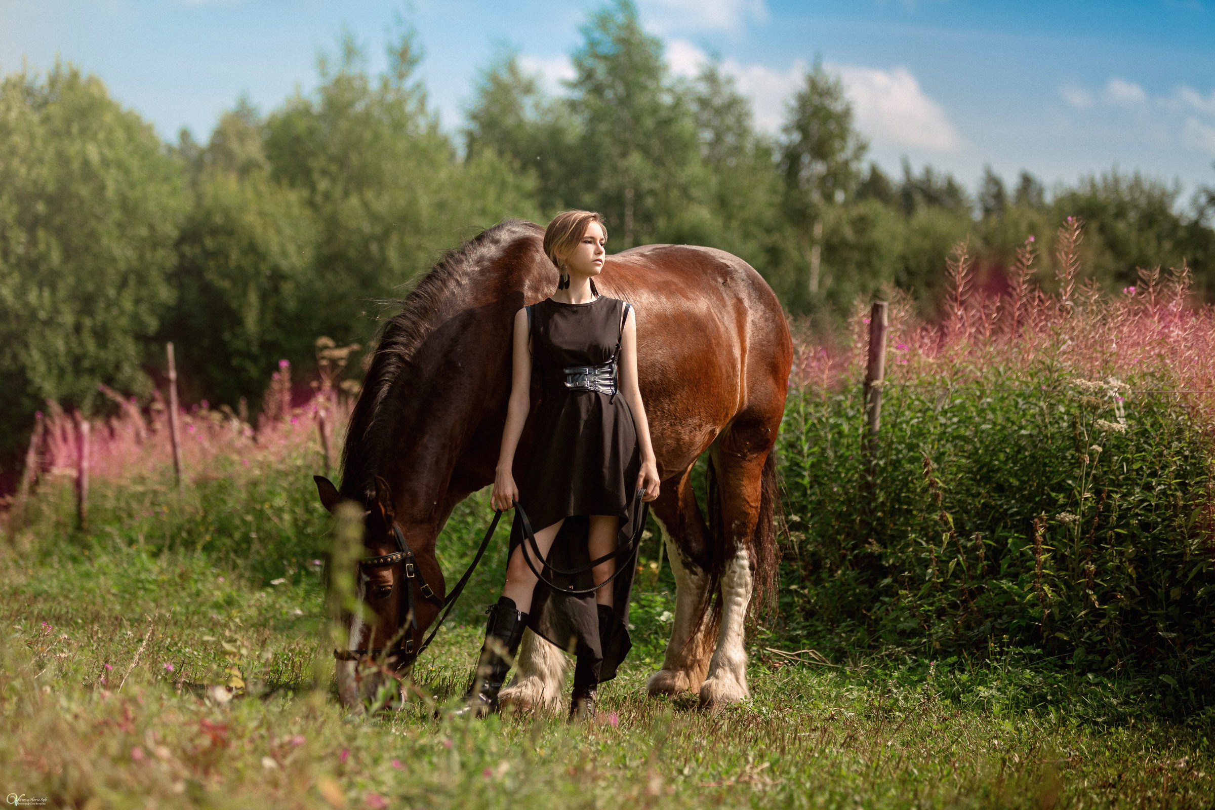 Фотосессии с лошадьми летом. Фотограф женский и мужской портрет Санкт-Петербург