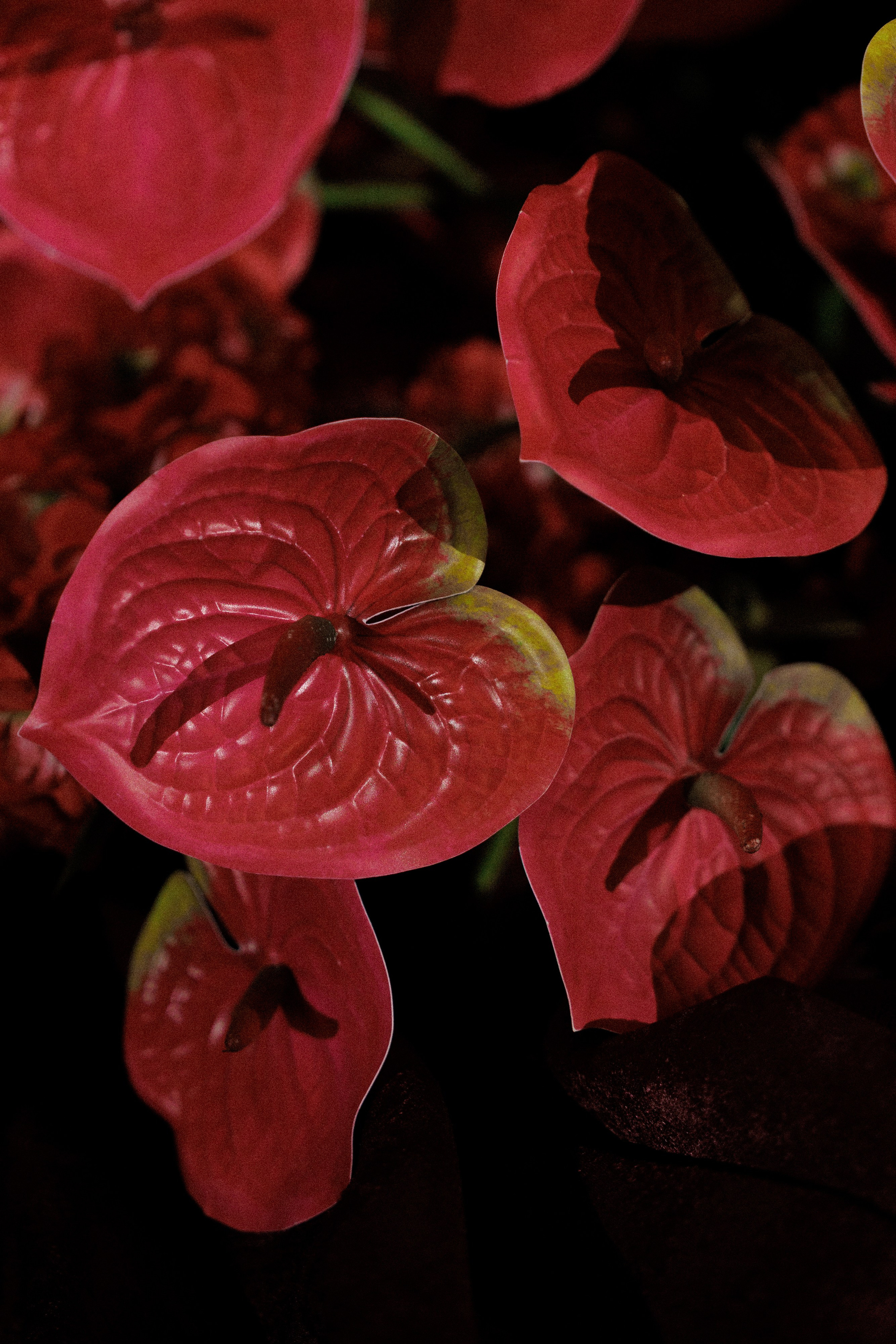 AIR IN PARTY AWARDS 2025. Свадебный и event-фотограф Иван Волнухин