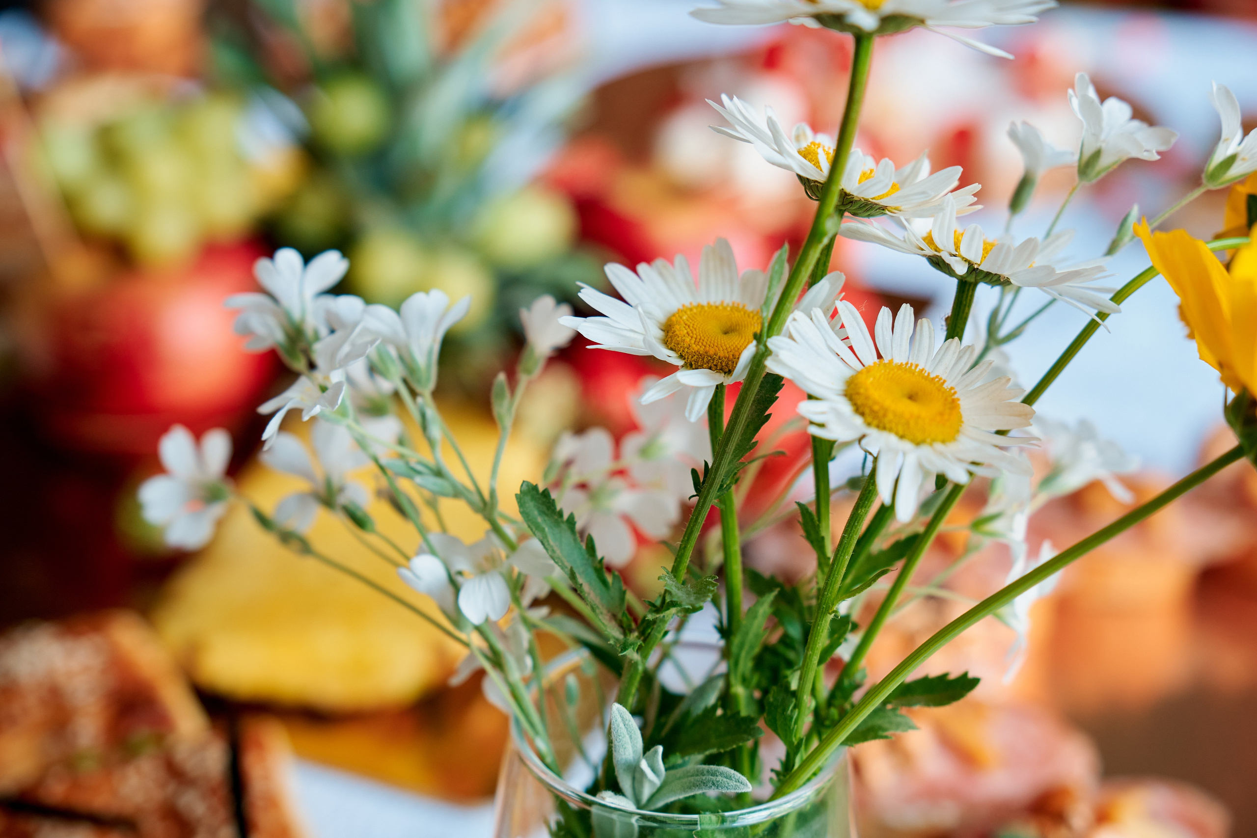 Конференция doTERRA. Фотограф Таганрог Анна Трайжон