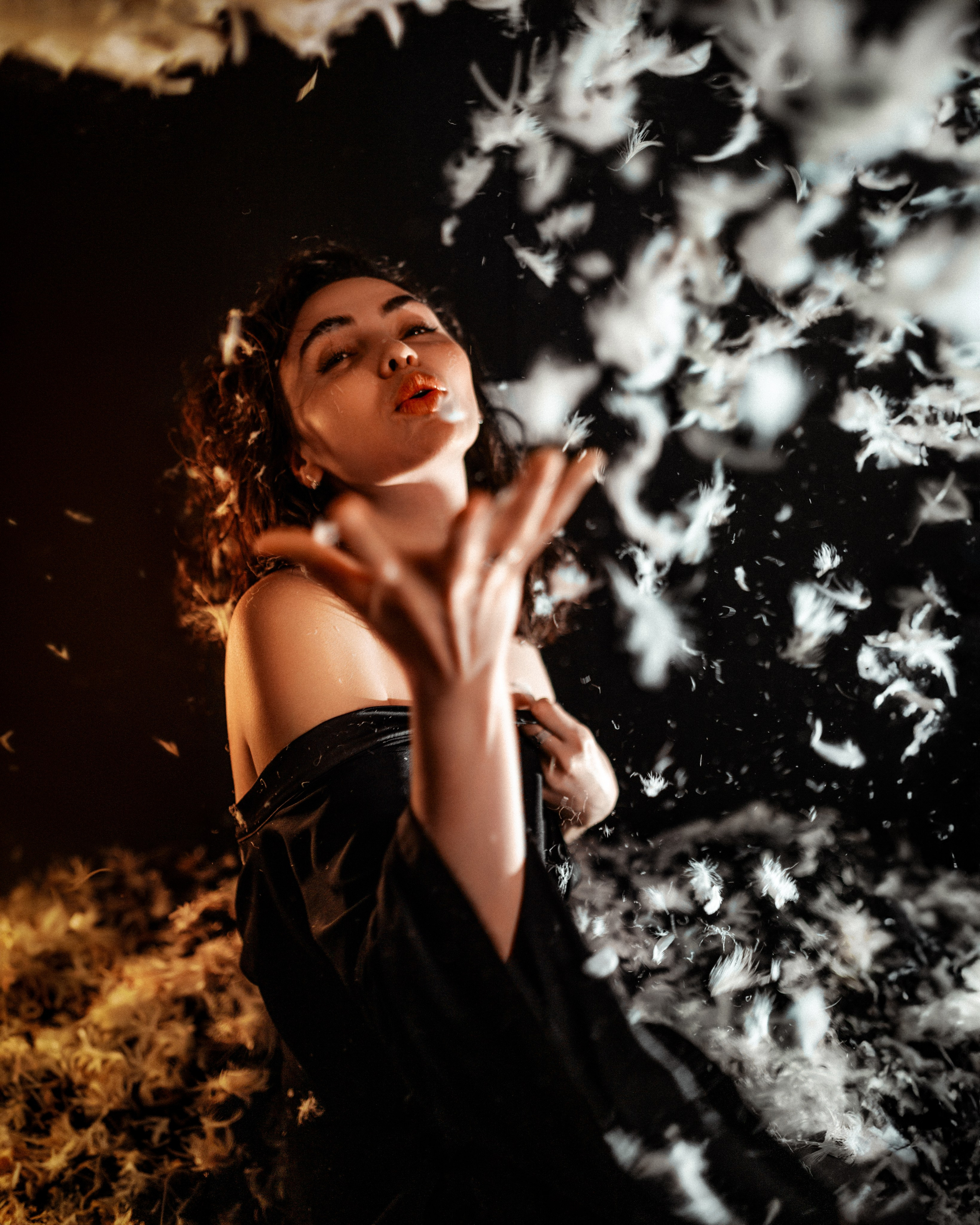 Перья. Александр Атлес Фотограф