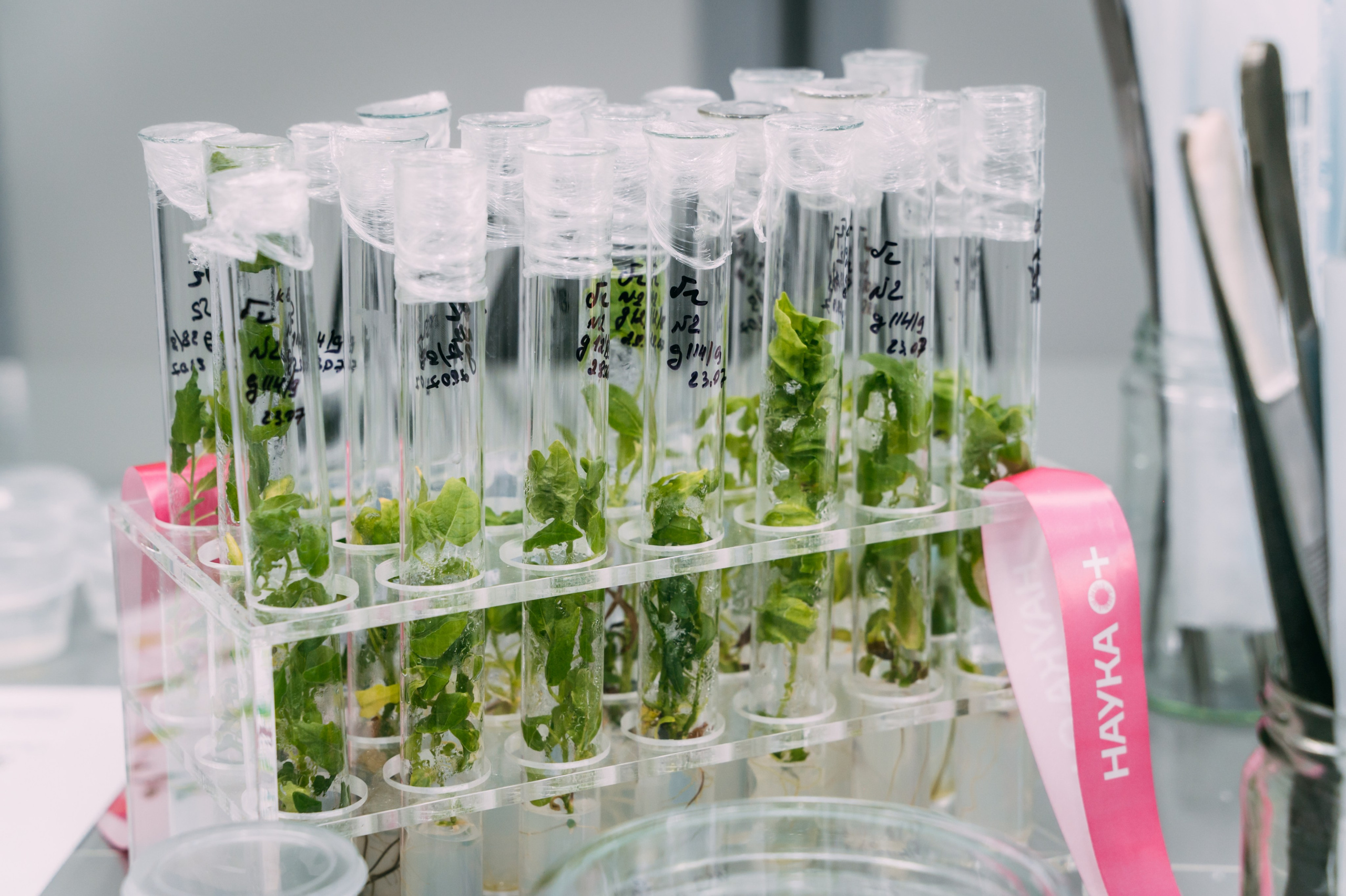 Международная конференция РАН