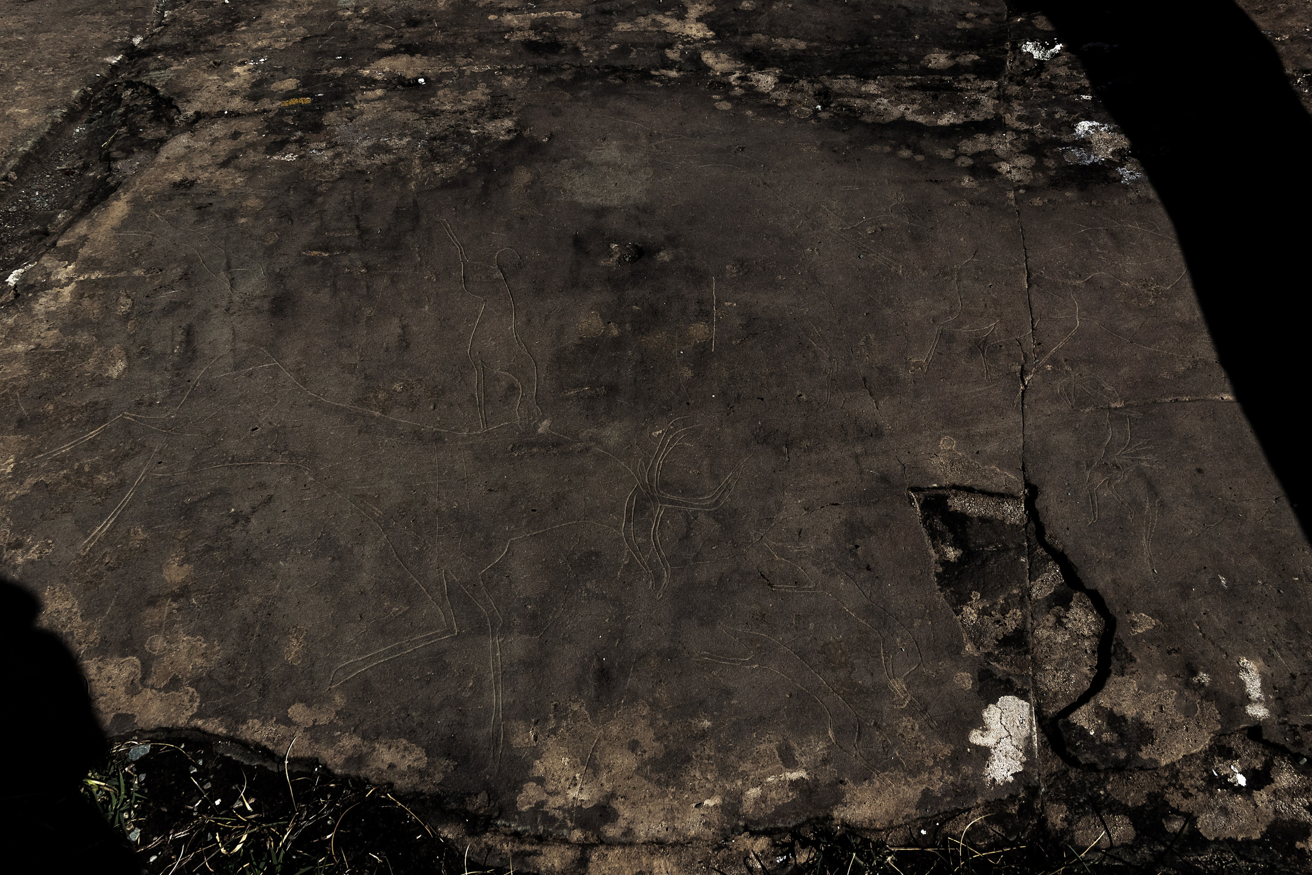 АЛТАЙ 2024 / ALTAI 2024. Главная