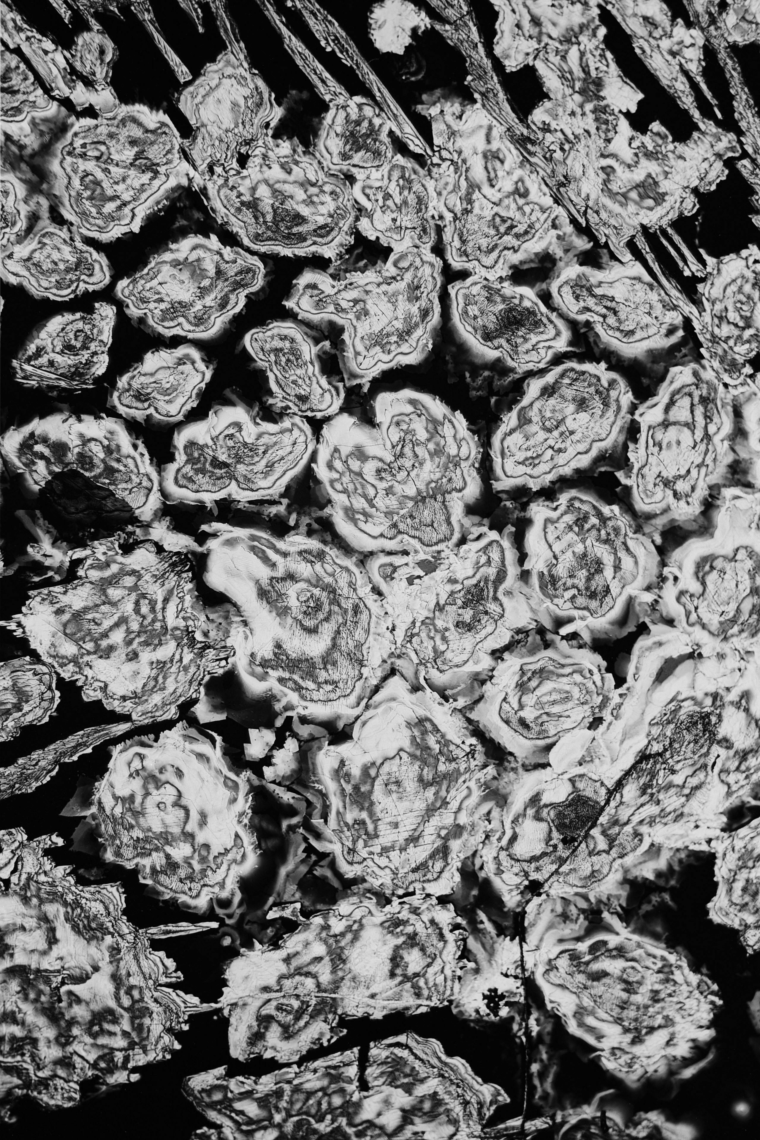 Crystalls. Philipp Yelistratov