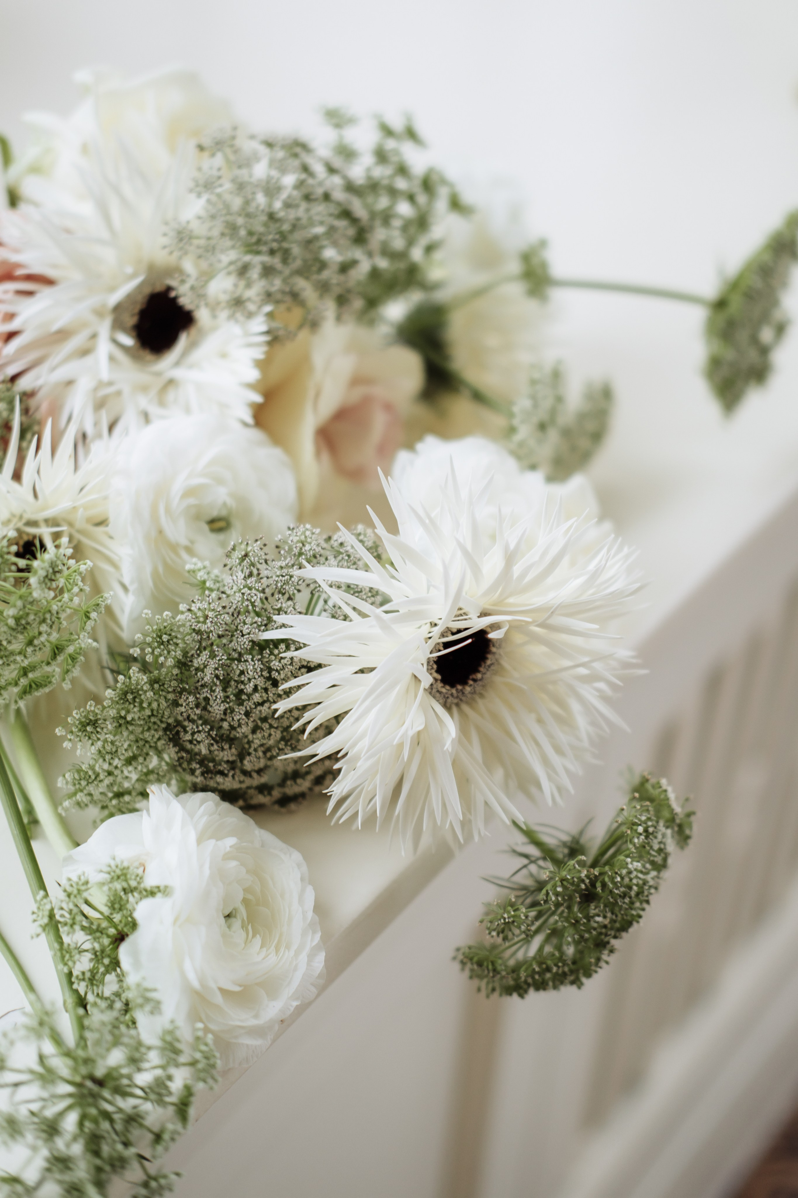 Romy. Photographer Cologne Bonn Europe Anna Ketova