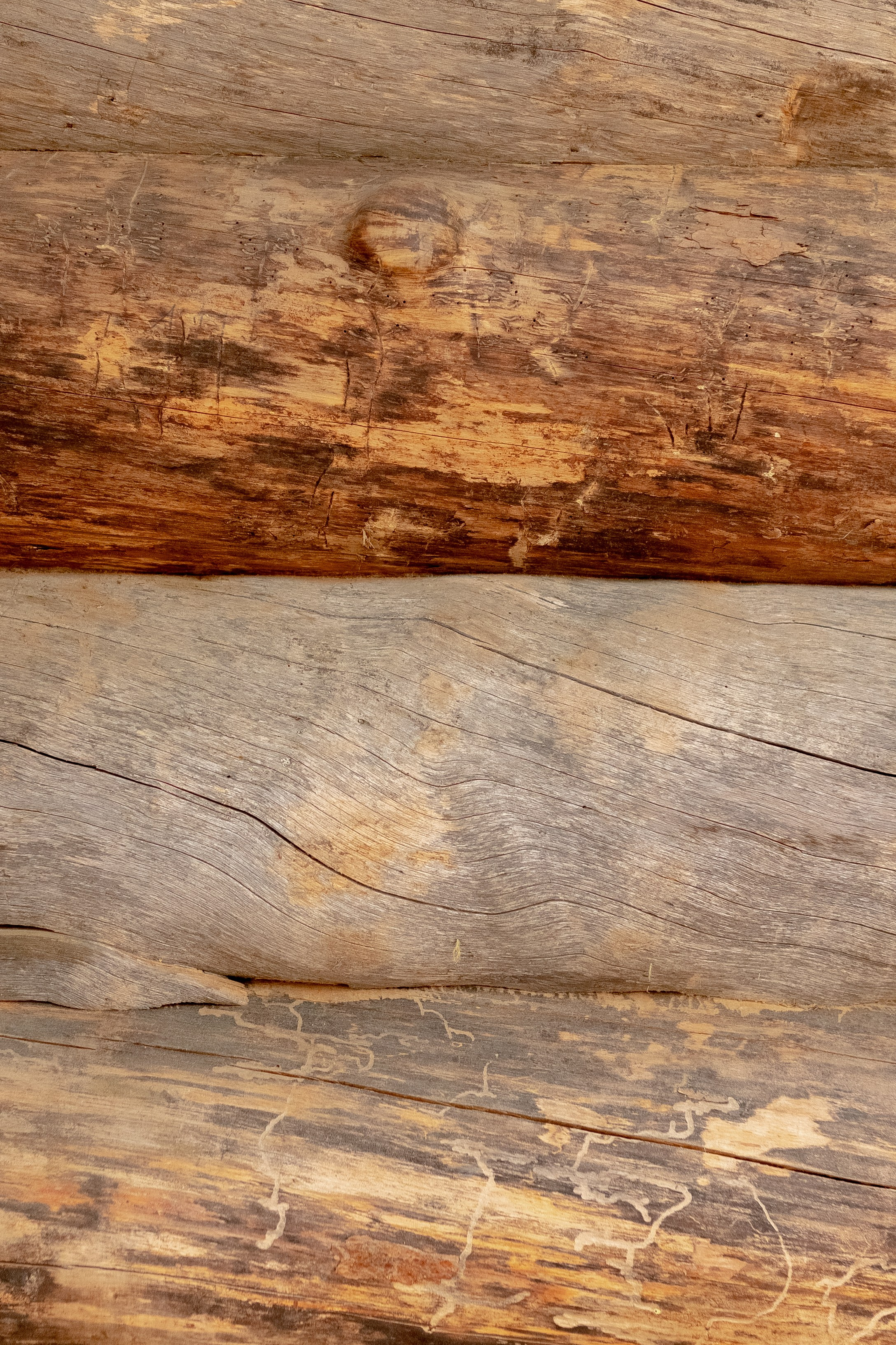 Кавказ Пар. Главная