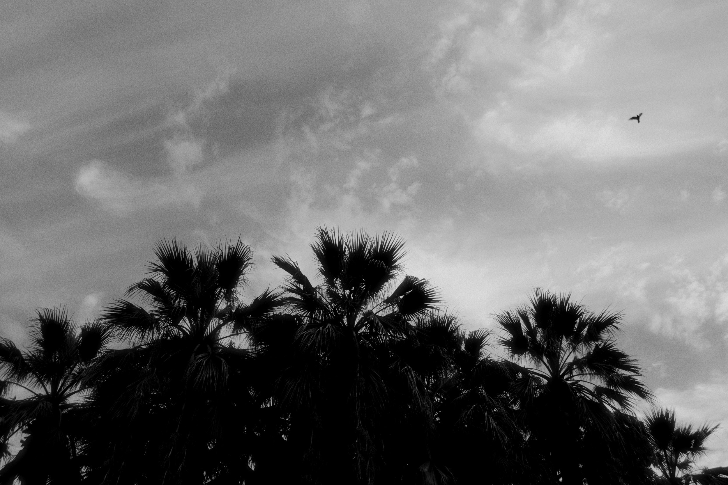 Sochi port (stratocumulus). Фотограф Юрин Евгений