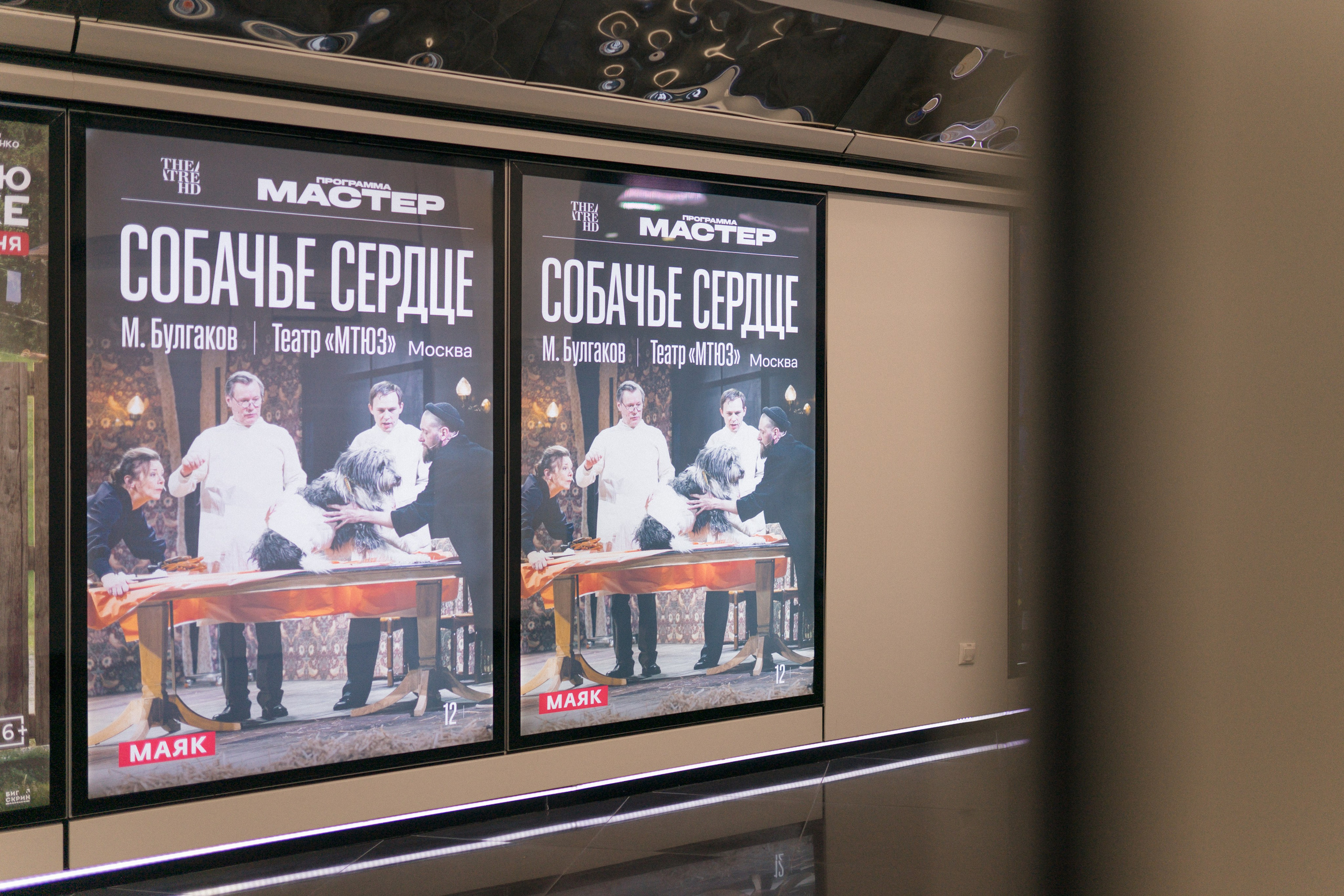 Собачье сердце: премьера в Кино. Портретный арт и репортажный фотограф в Нячанге Ульяхина Полина