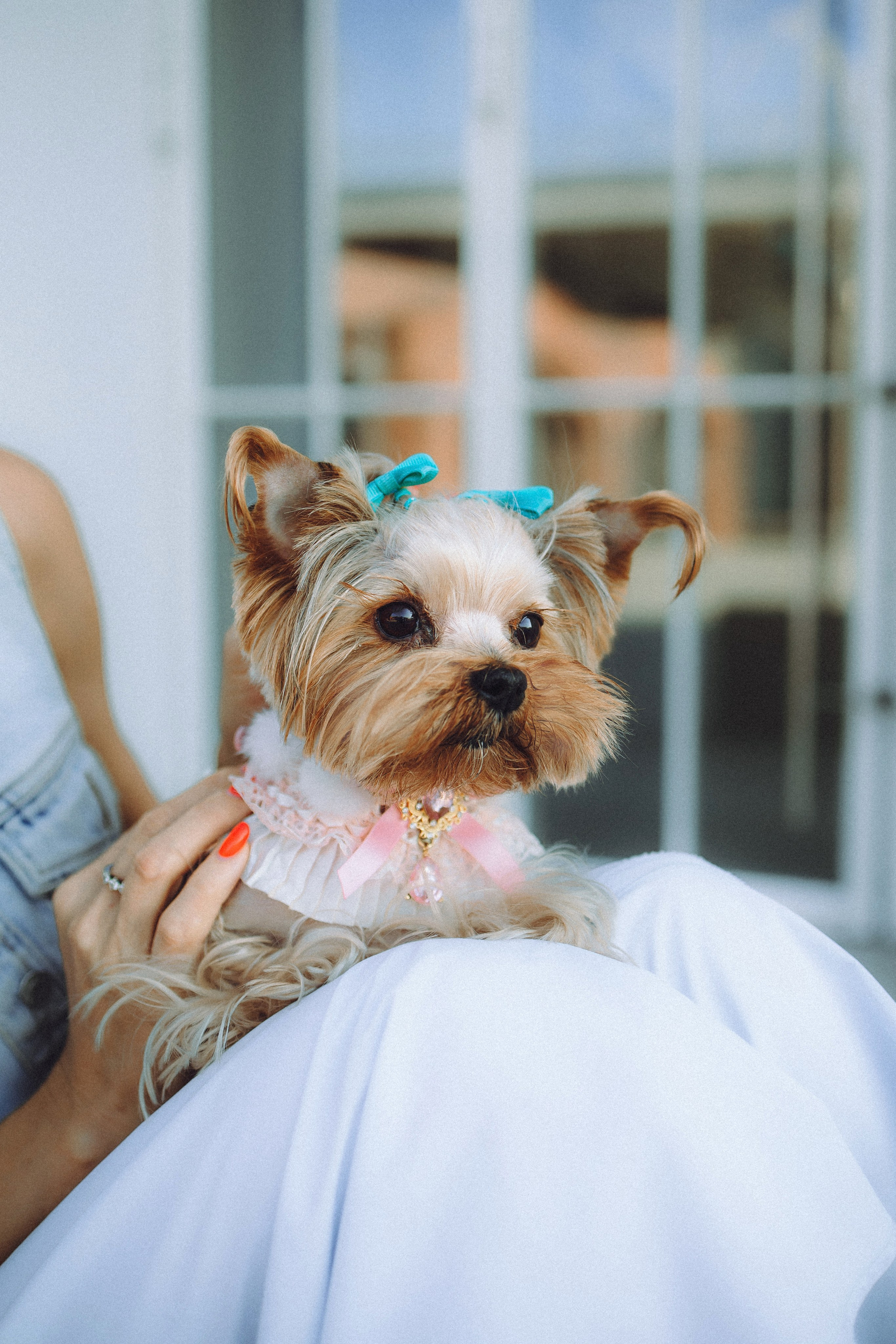 Дженни, Оливия и их семья