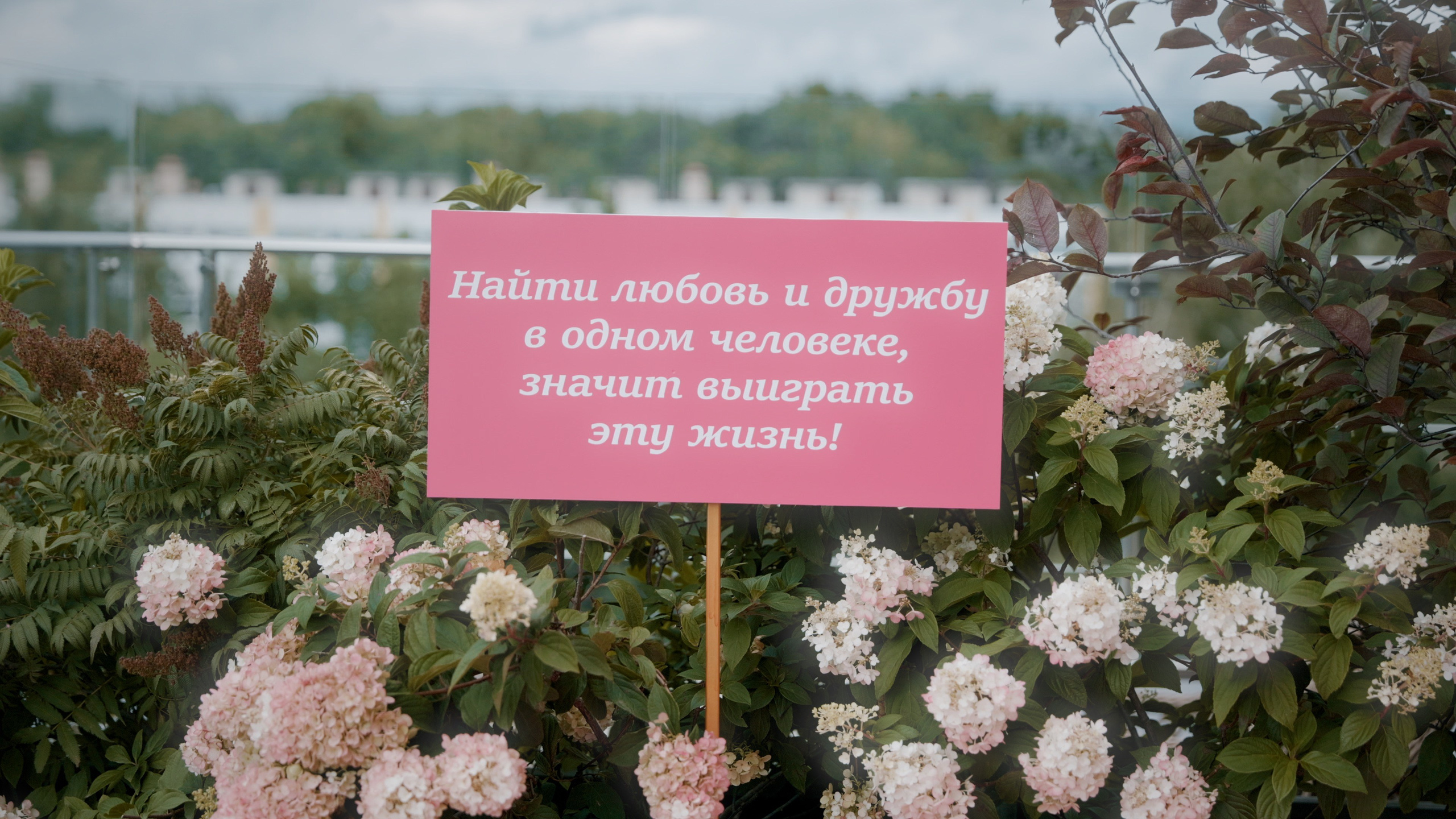 Дмитрий. Видеограф Павел Борисов | Москва | СПБ | Брянск