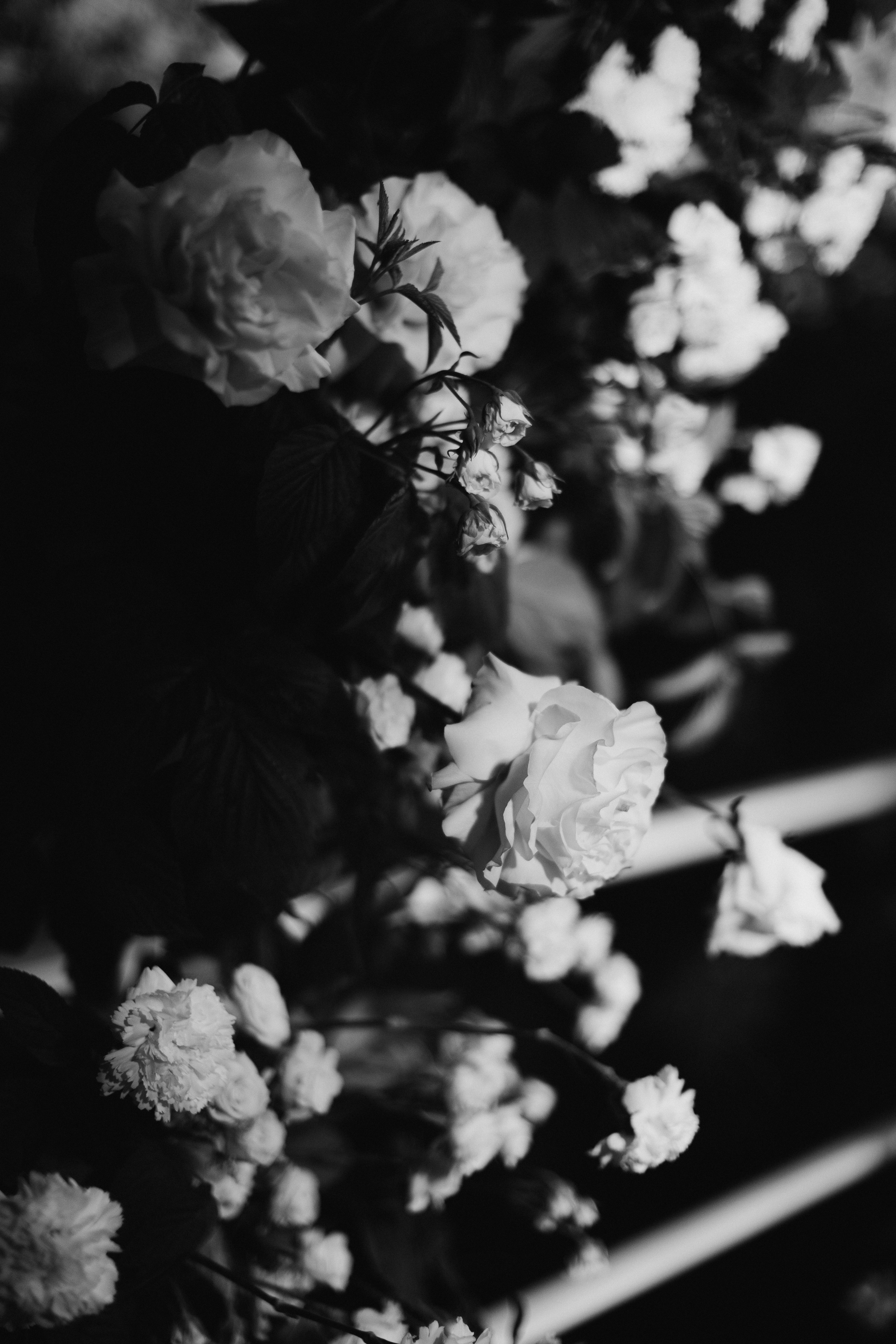 Полина и Рома. Портретный фотограф Арсения Теплова