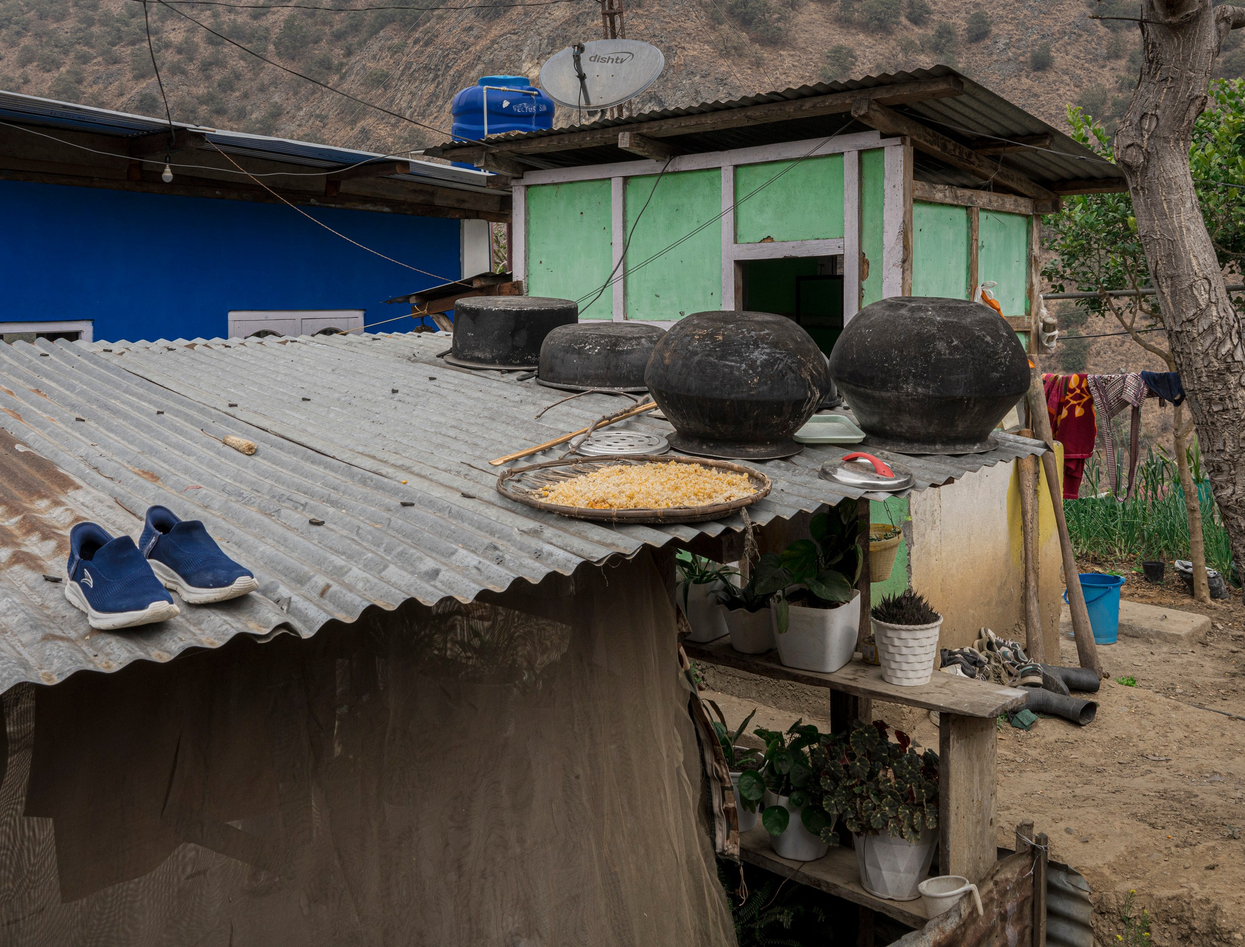 India travel. Фотограф Сергей Танков