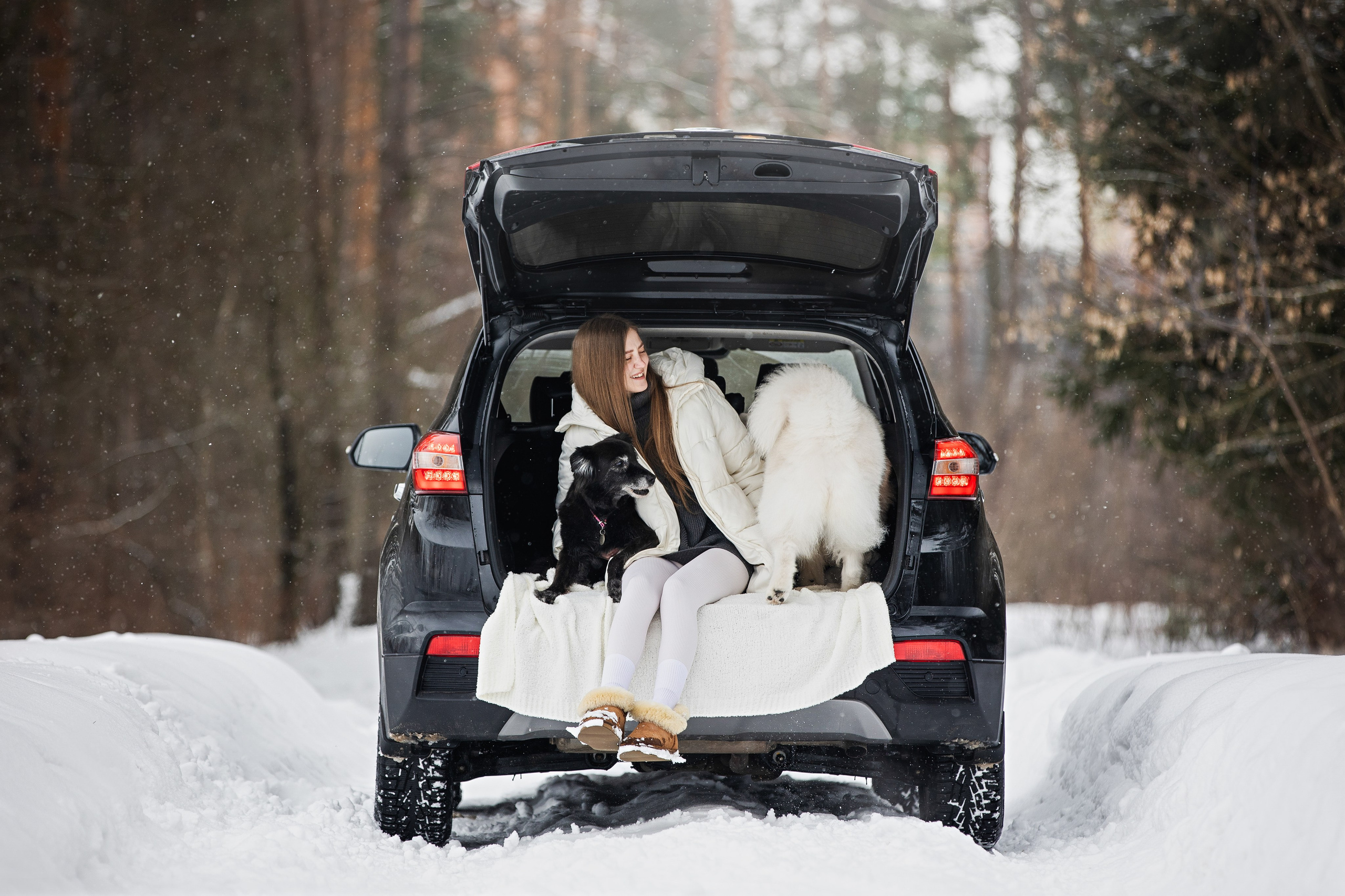 Валя, Варя и Лада. Фотограф анималист в Москве Майорова Евгения