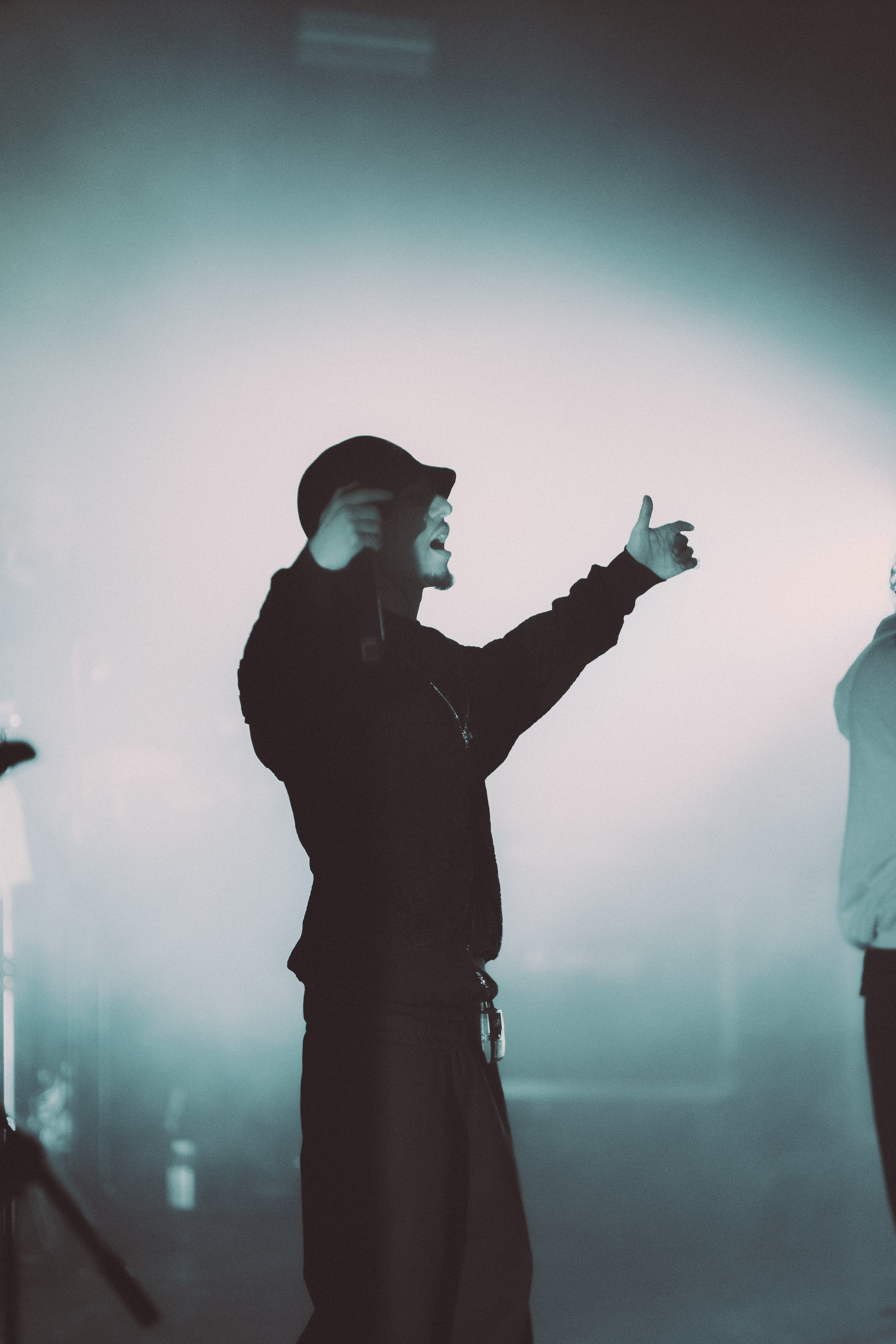 SALUKI. PASHAHARCE PHOTOGRAPHER & VIDEOGRAPHER