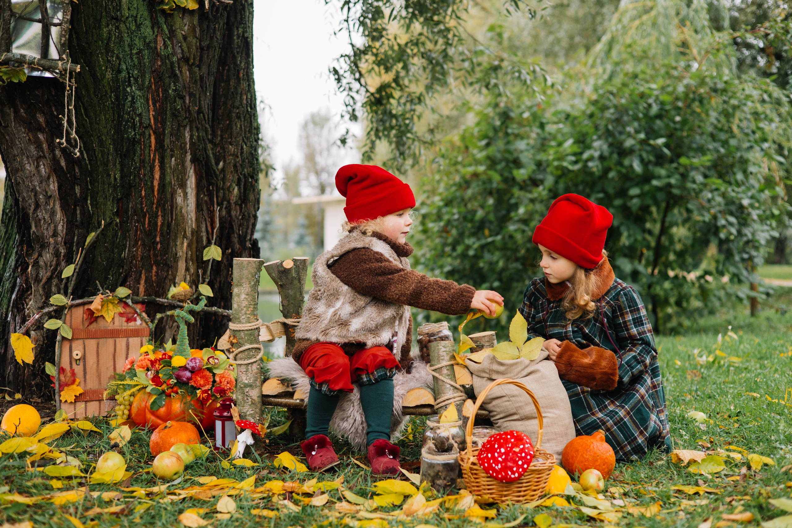 Гномики. Фотография с любовью от Людмилы Луценко