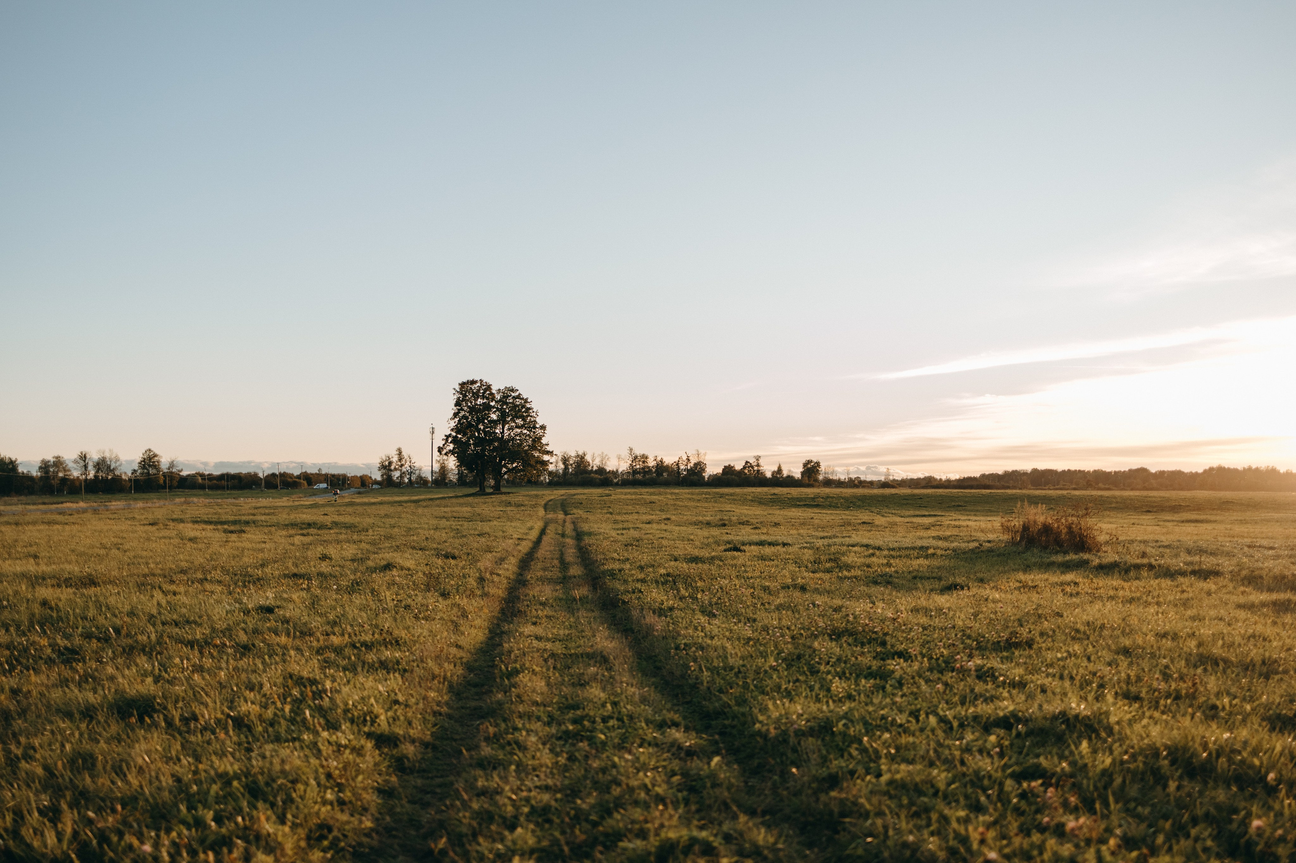 Лера и Скай. Фотограф — Анималист | Санкт-Петербург