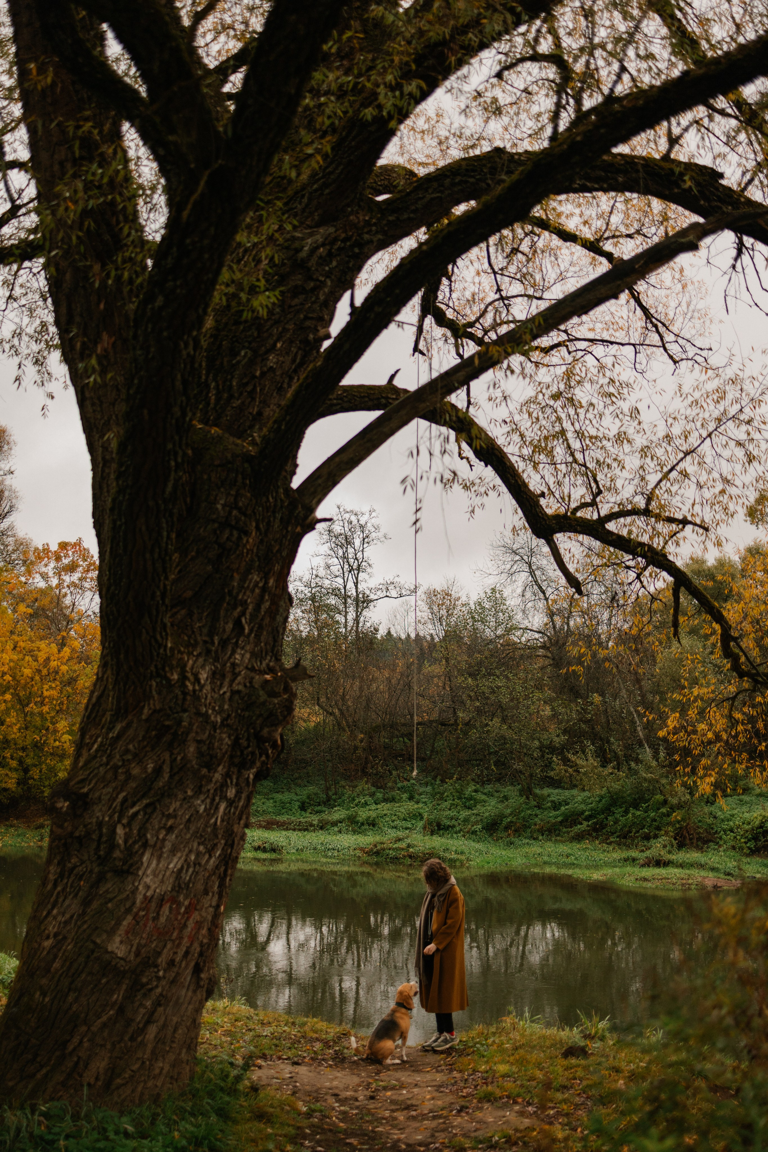 Лена и Тайгер. Фотограф — Анималист | Санкт-Петербург