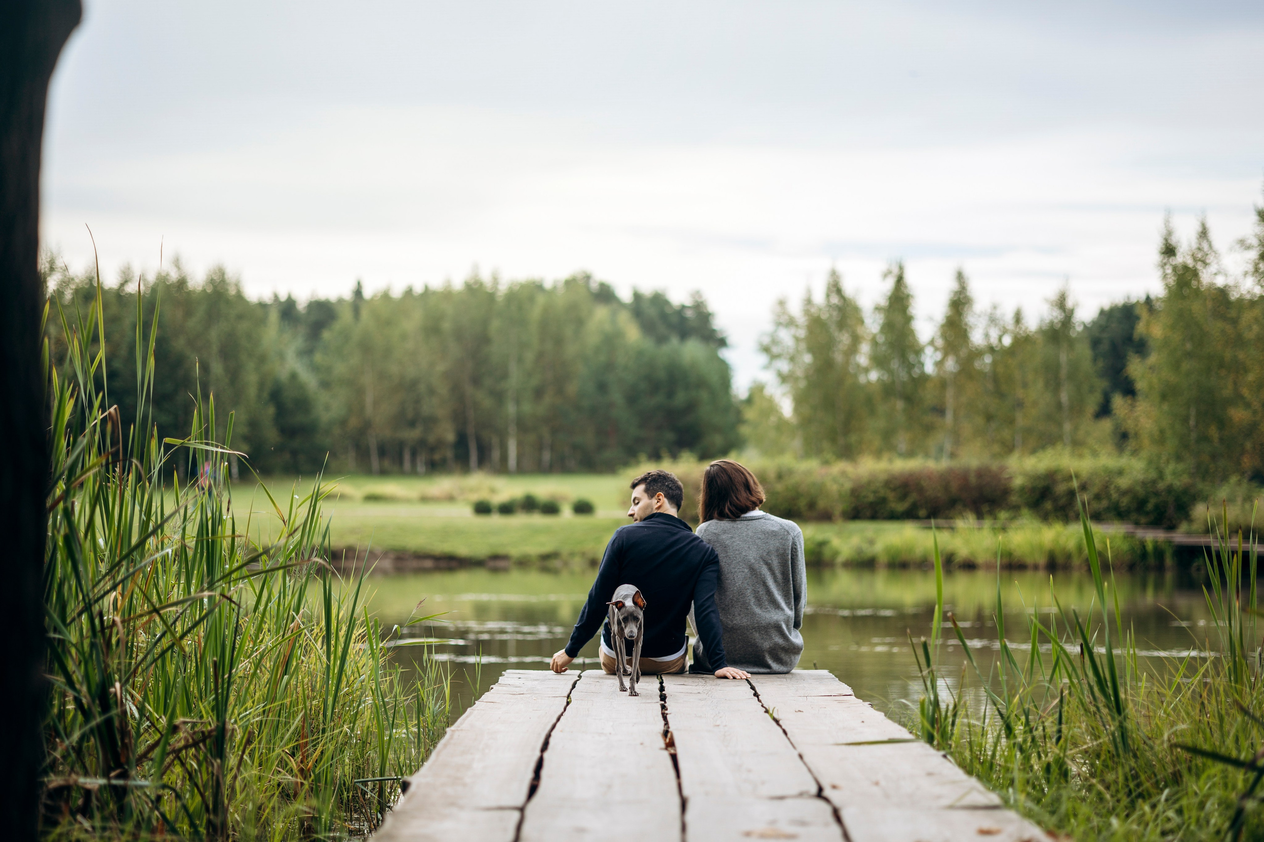 Лучик и ее семья. Фотограф — Анималист | Санкт-Петербург