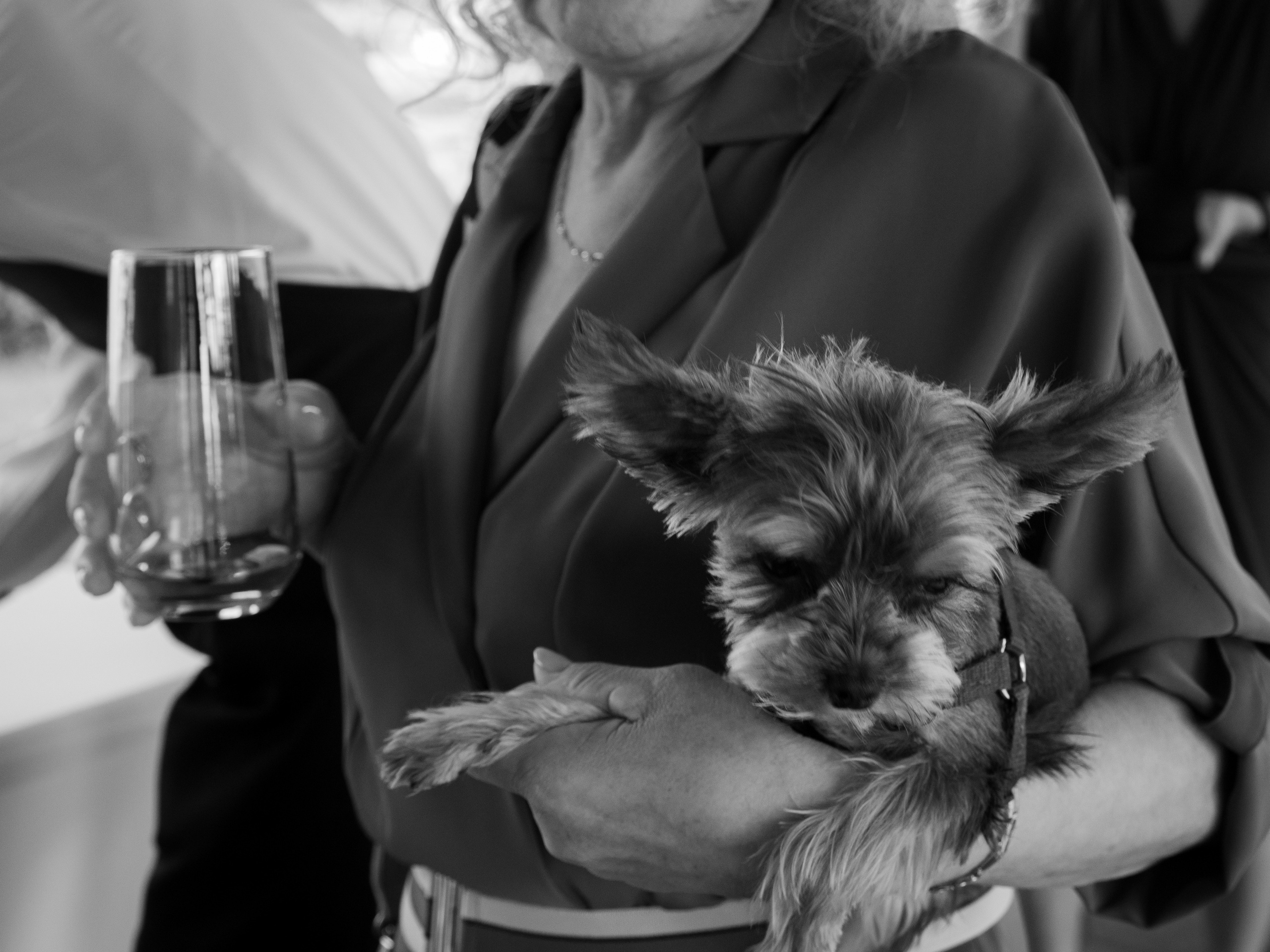 Валентина и Сергей. Свадебный и портретный фотограф в Москве Жердев Даниил