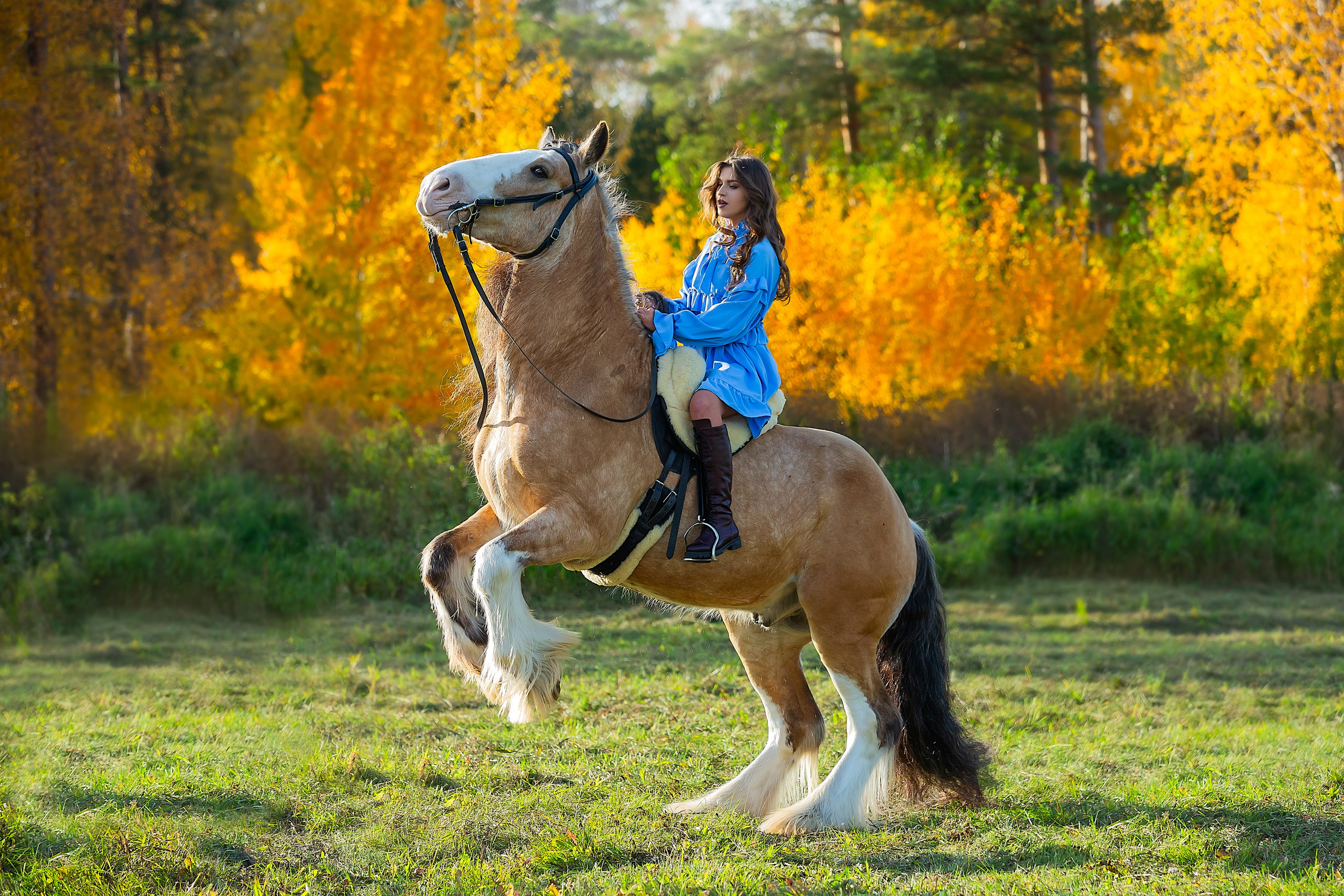 Фотосессия с лошадью. Фотограф Анималист Наталья Корс Екатеринбург