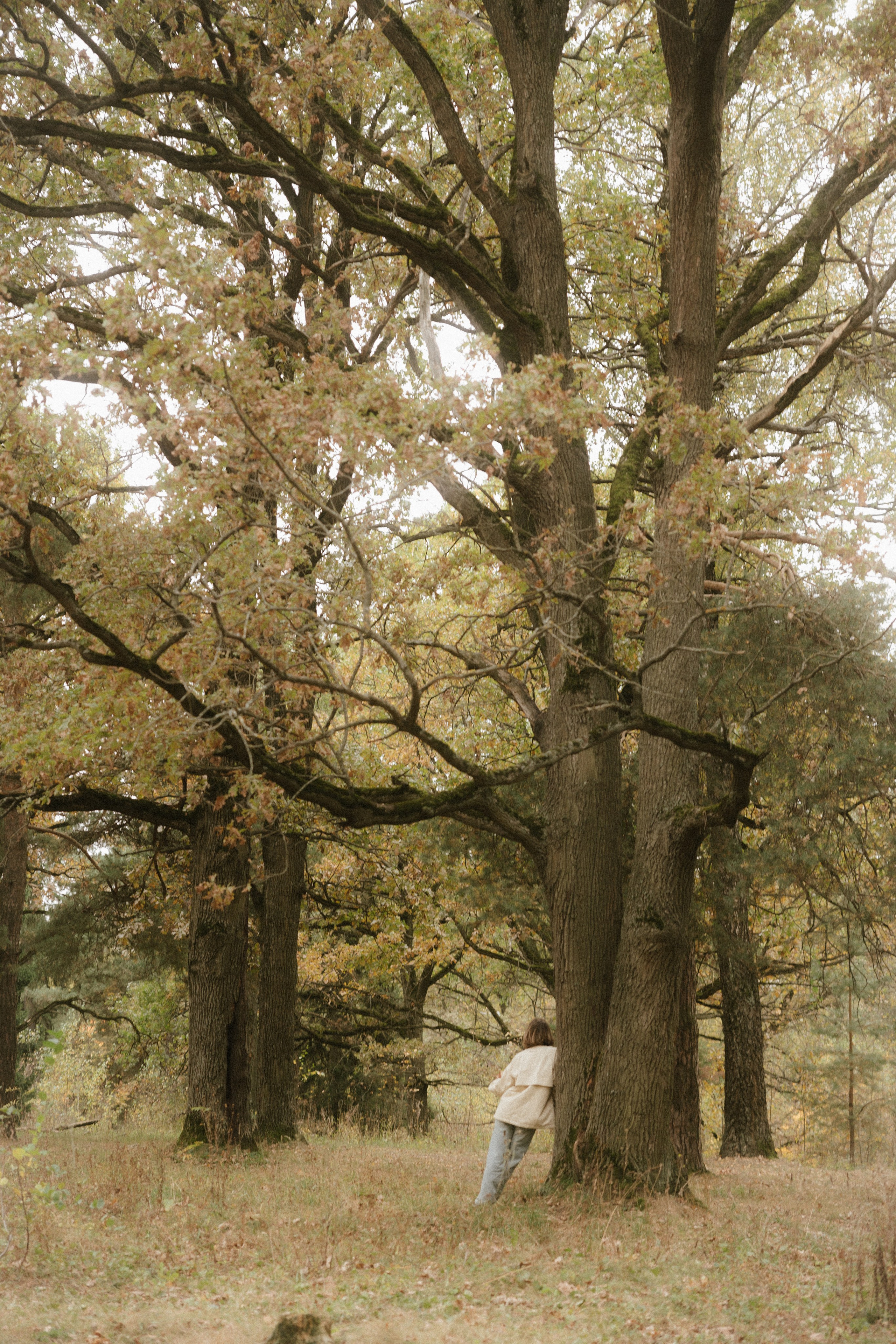 Наташа. Семейный и детский фотограф Юлия Шох