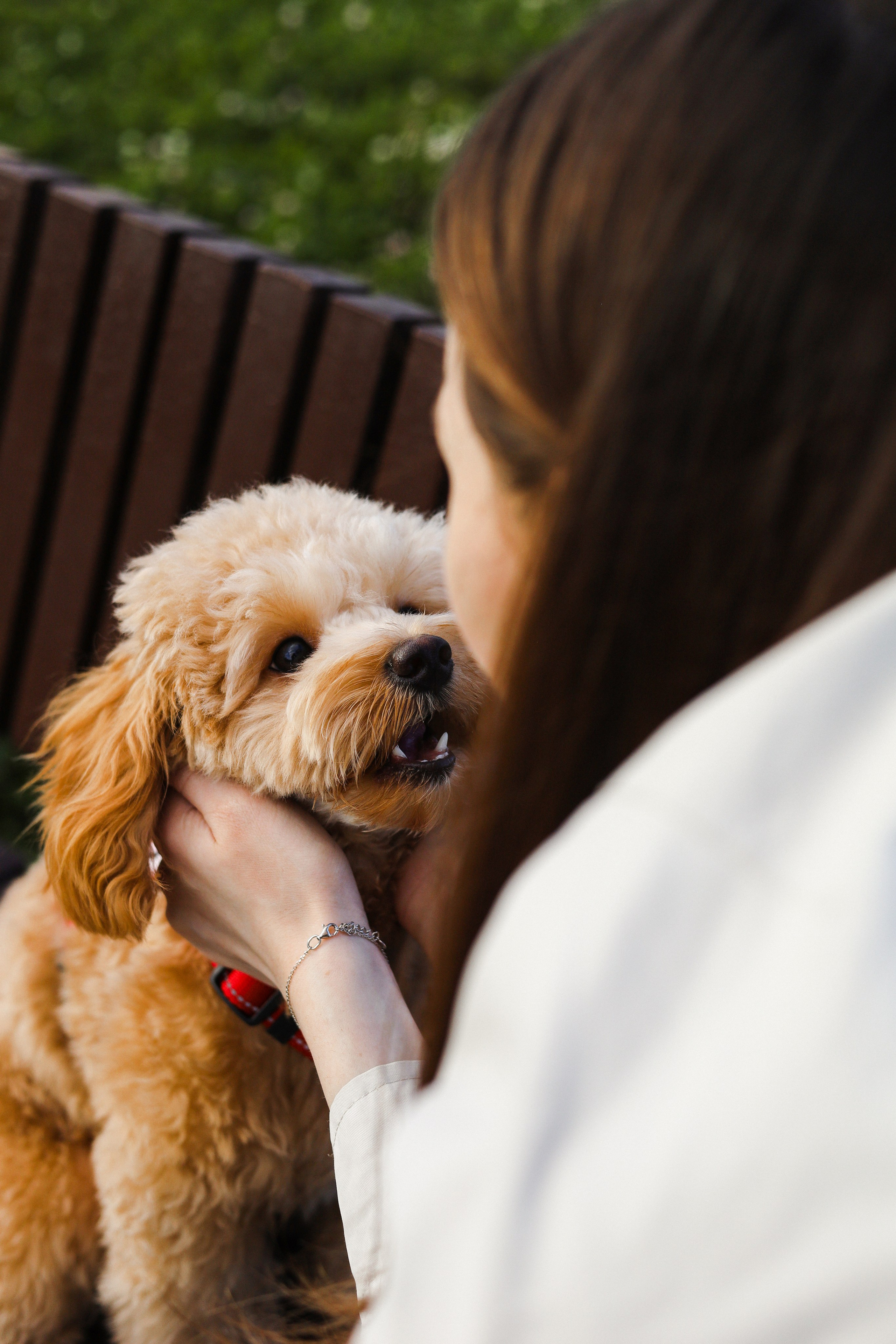 Поршик и Ксения. Фотограф-анималист Ксения Шевцова|Москва