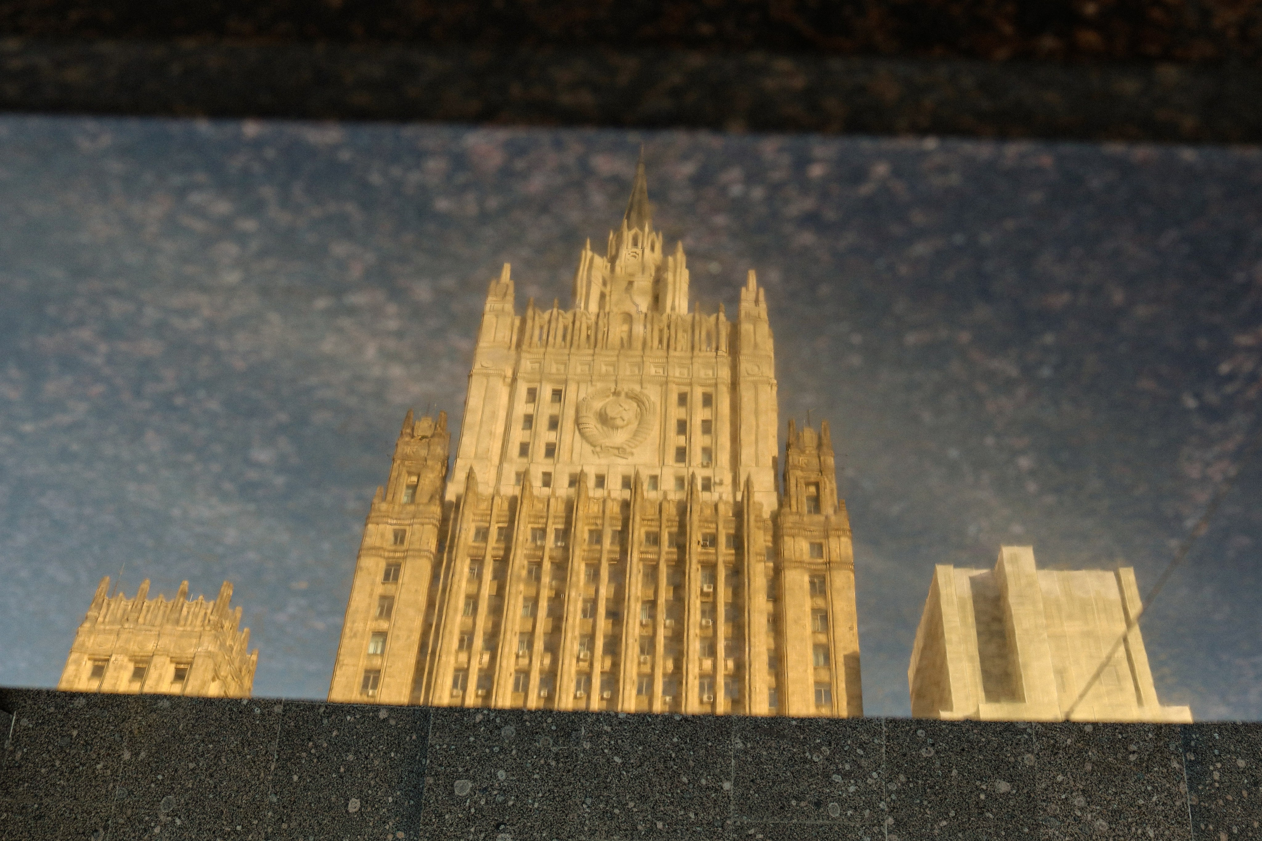 Зиз и Юля. Прогулка по Москве. Фотограф-анималист Ксения Шевцова|Москва