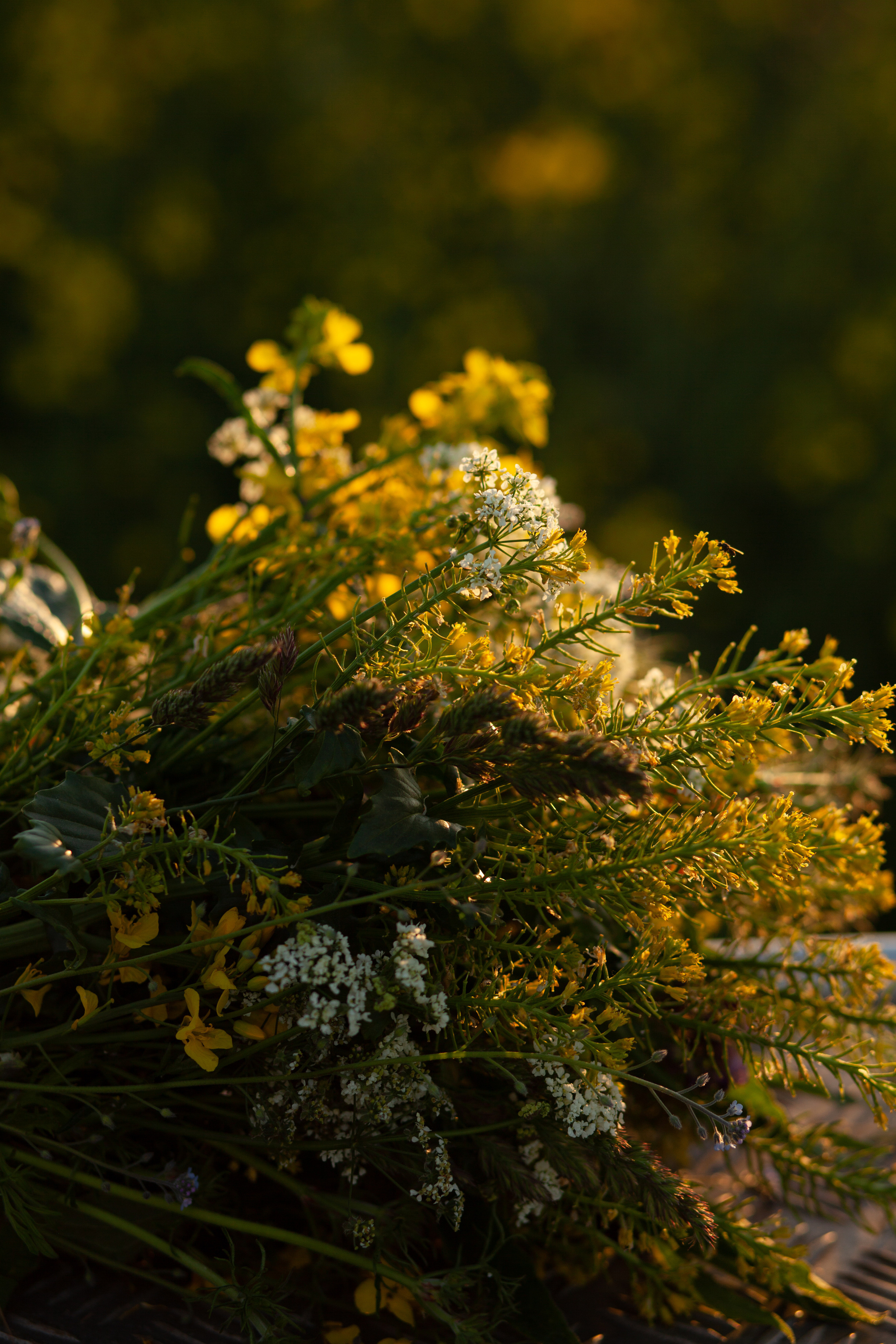 Семья. Любовь. Закат. Фотограф в Калининграде Баскакова Юлия