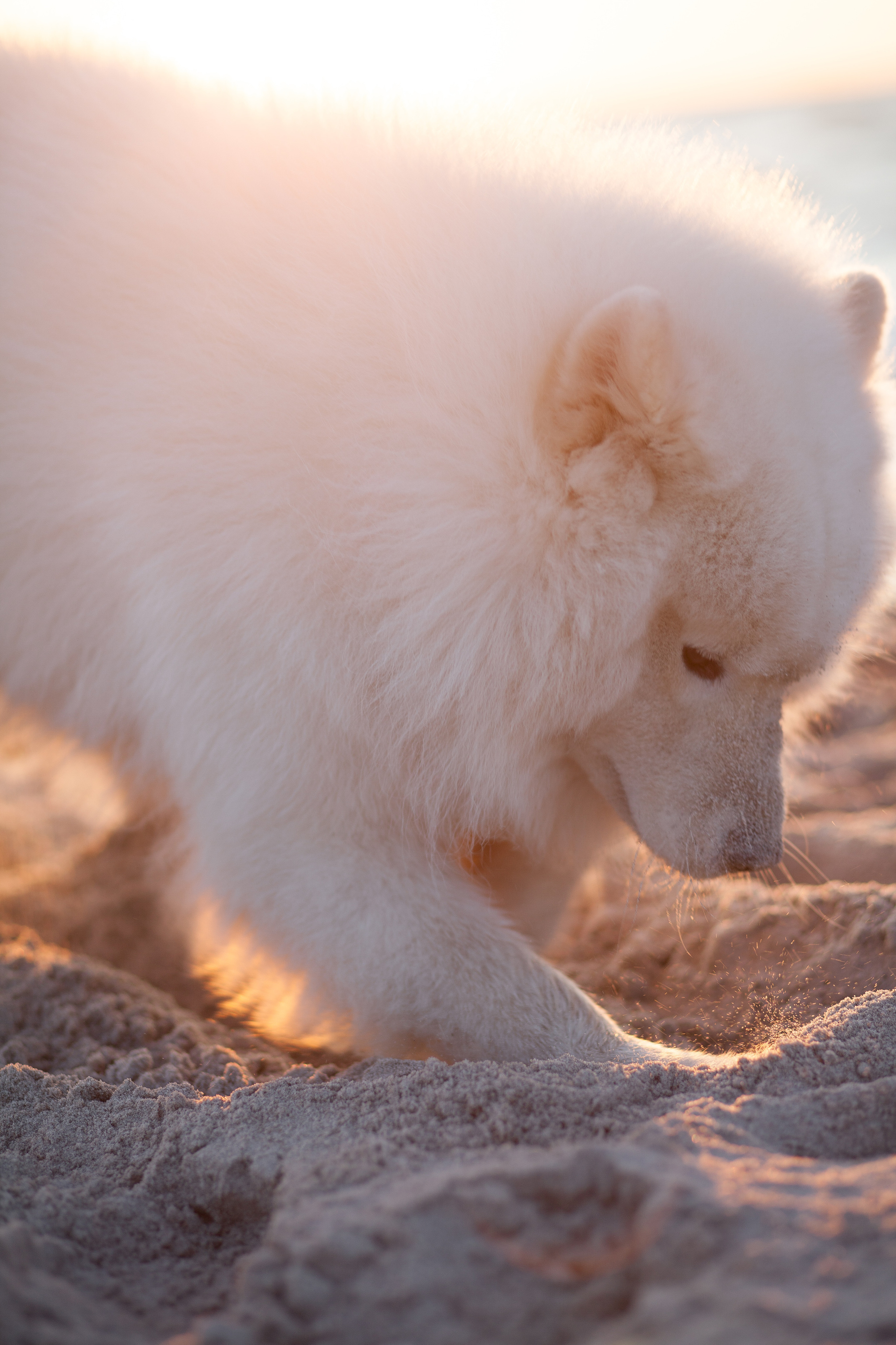 В ожидании чуда. Фотограф в Калининграде Баскакова Юлия